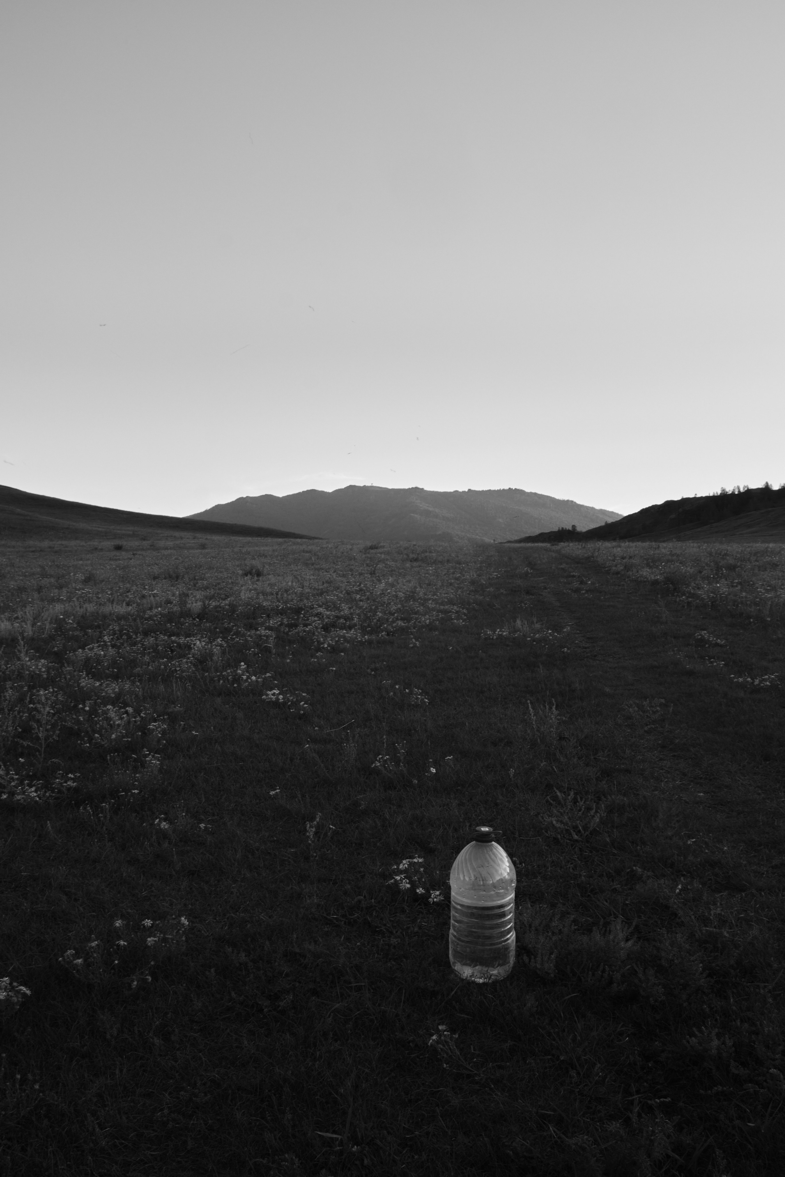 «50.005 659, 85.831 007». Izma photos