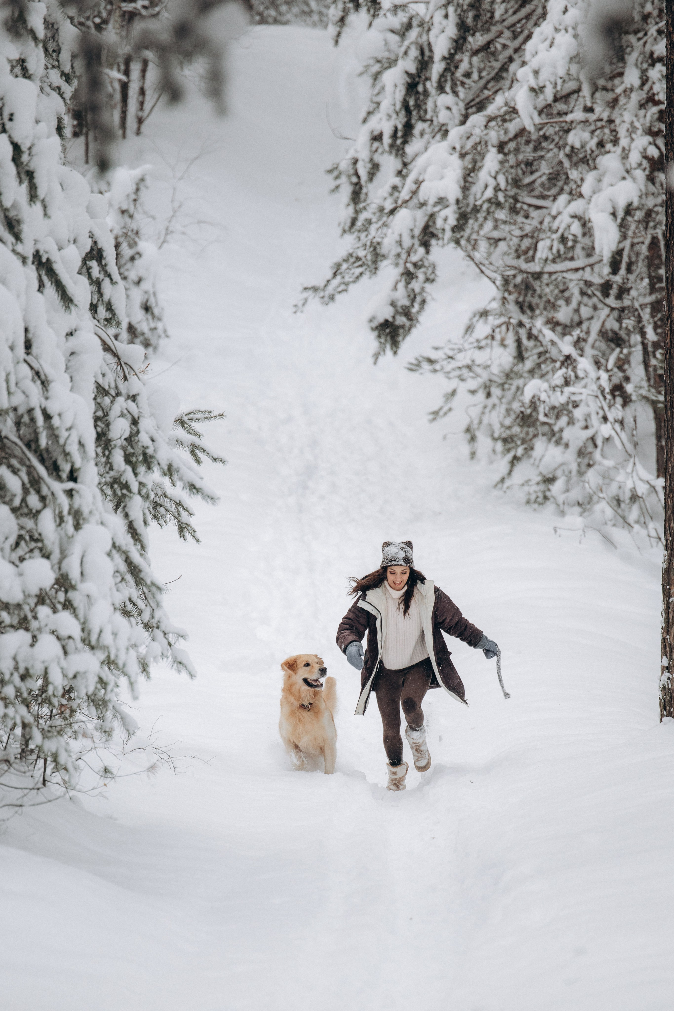 Зимняя история, Света и Чарли. Фотограф анималист в Казани Алина Сулейманова. Фотограф животных