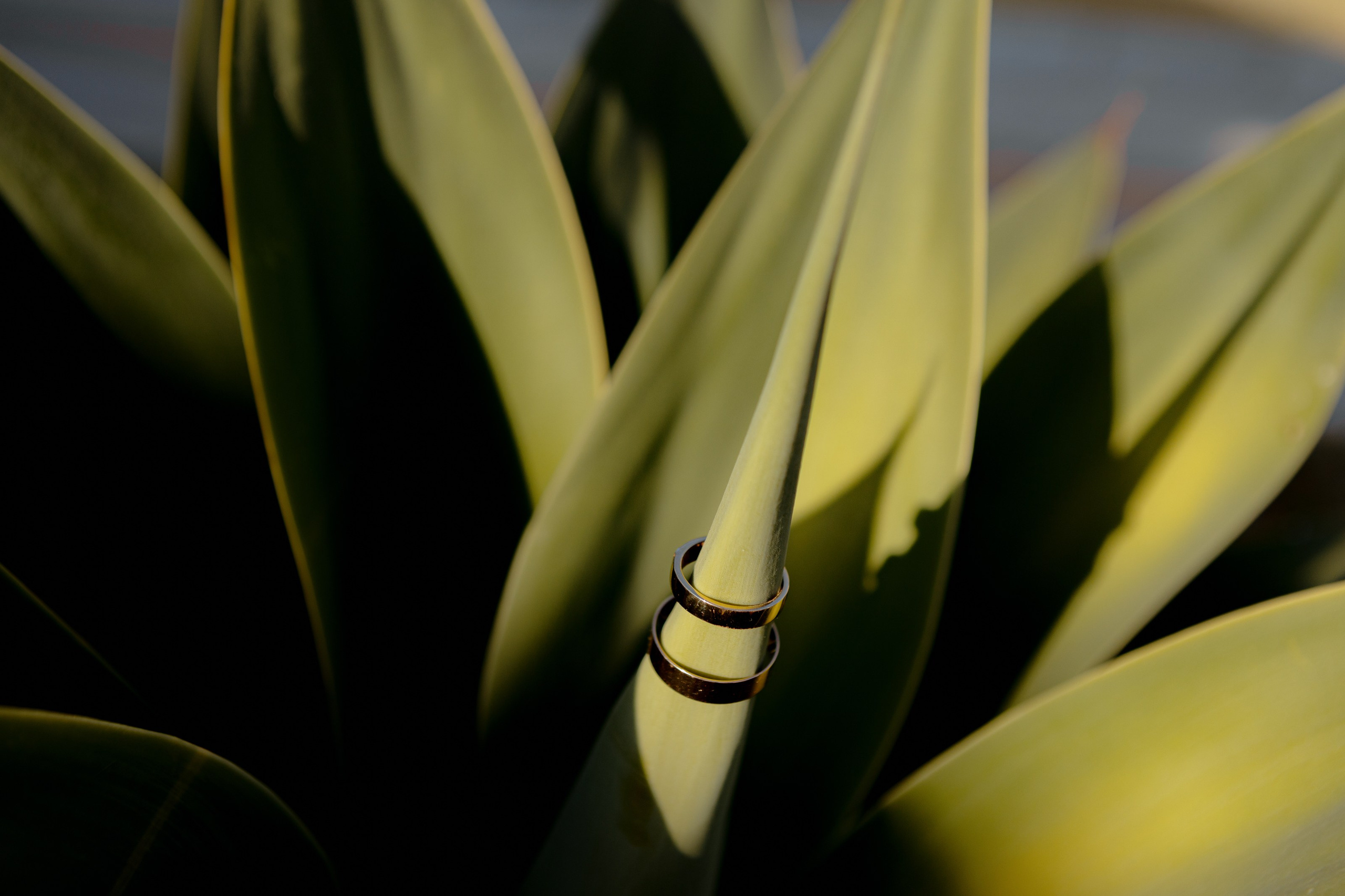 R&S. Фотограф в Батуми Павел Шарников