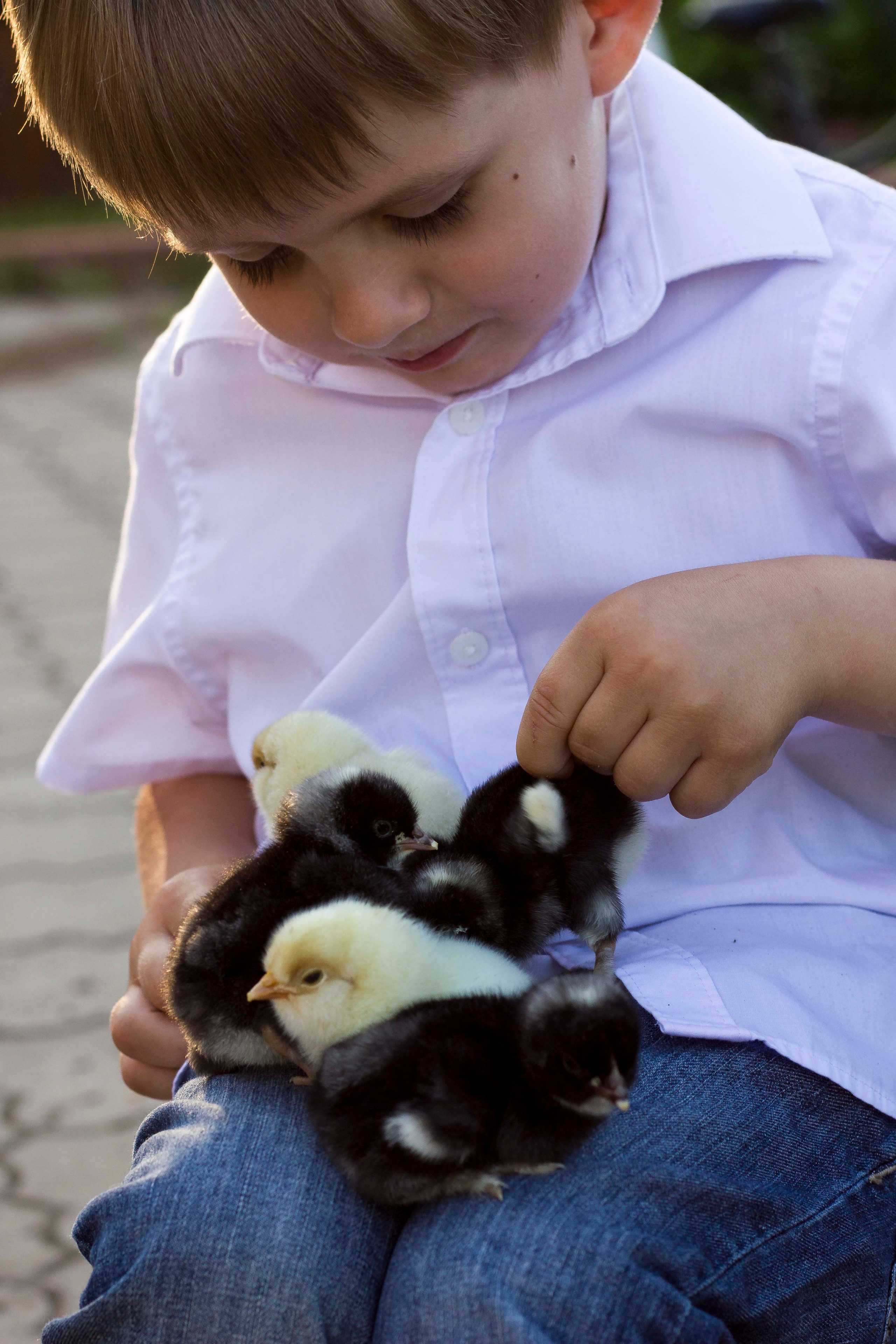 Светлана и Антон. Фотограф Надежда Гольцева