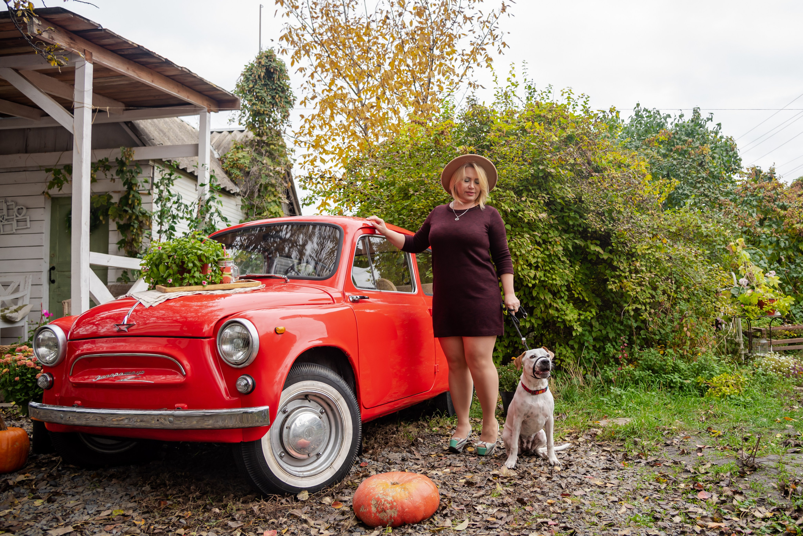 Авакадо. Фотограф Галина Нестерова