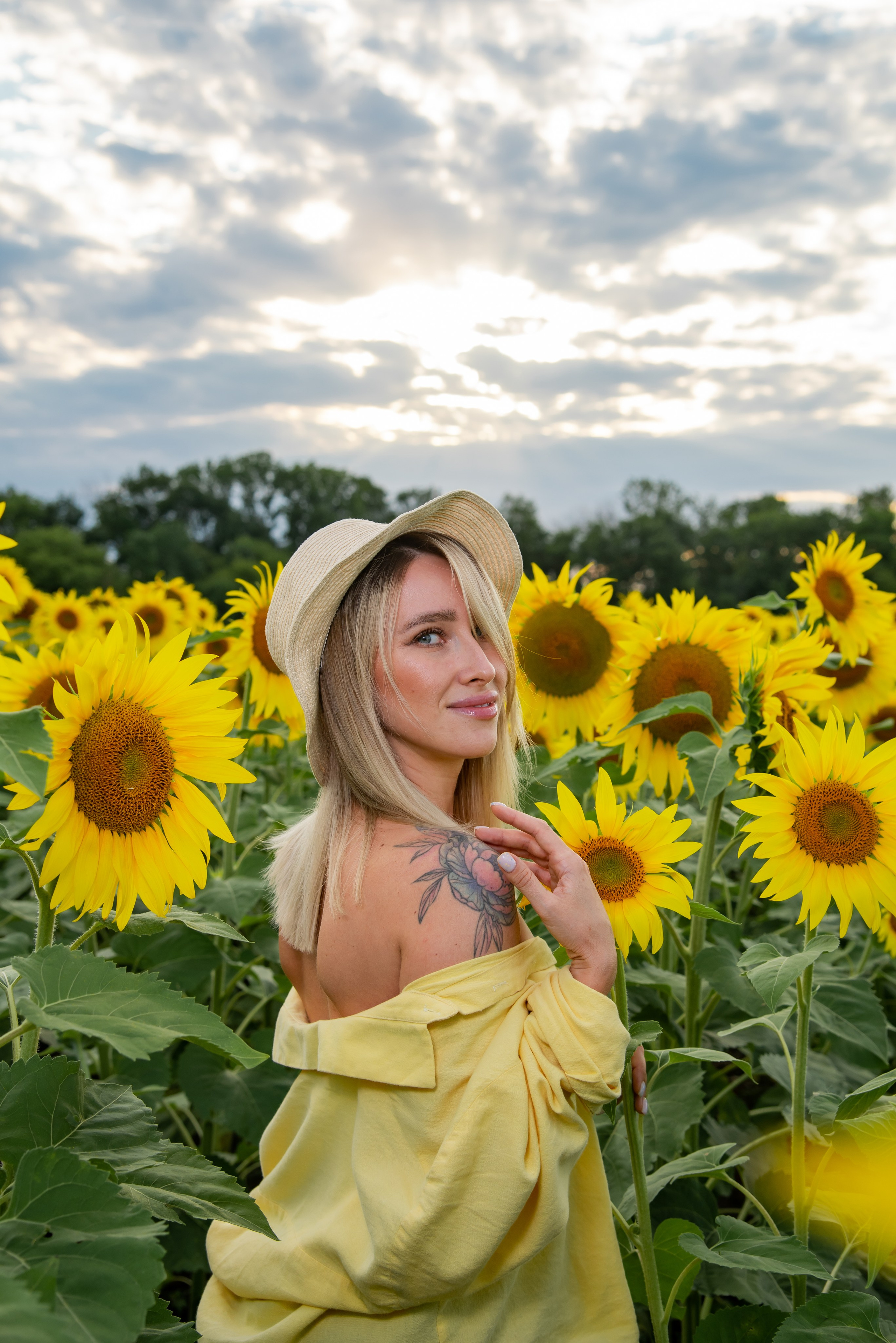 Подсолнух. Фотограф Галина Нестерова