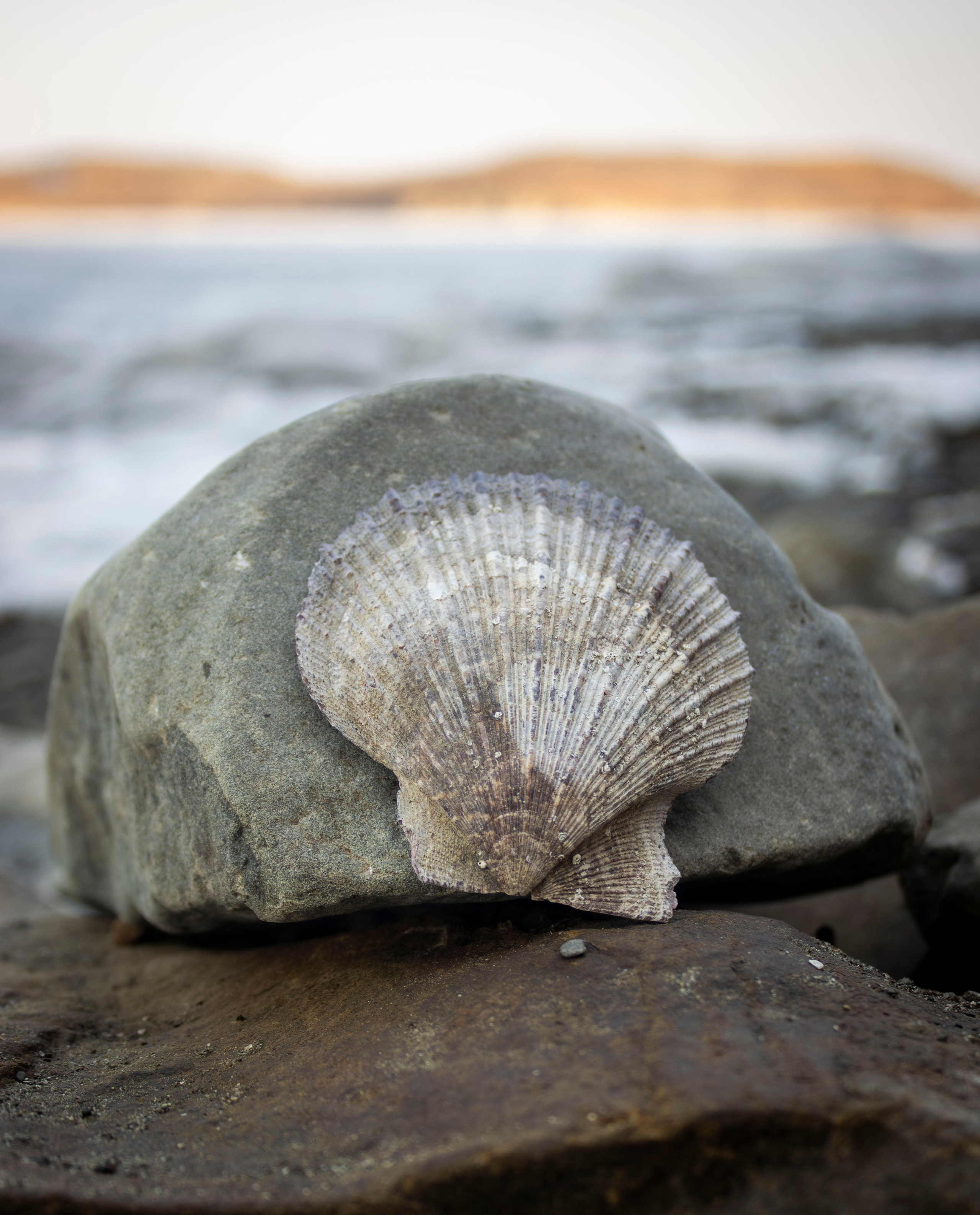 Творческий подход. Фотограф г. Владивосток