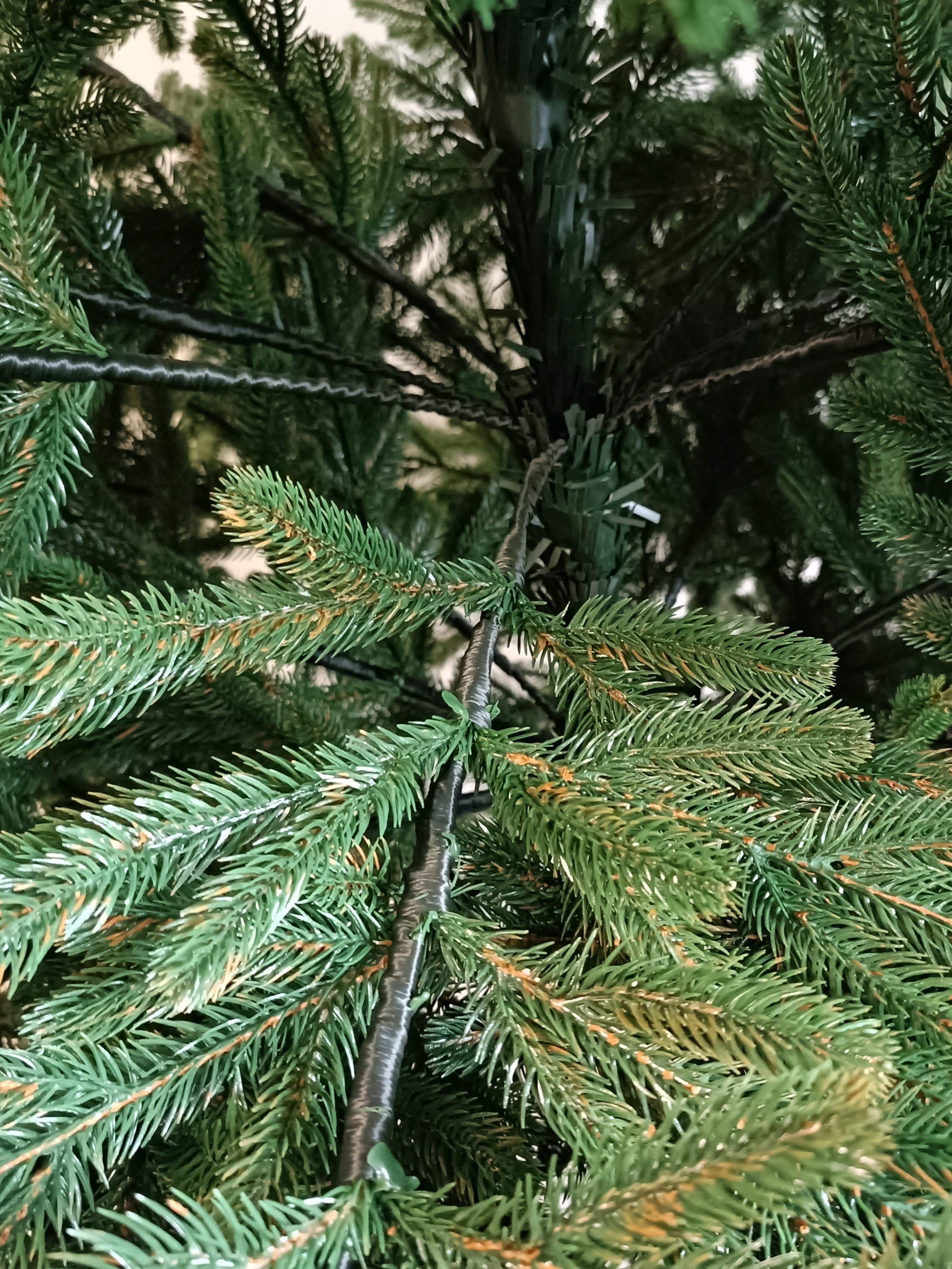 ВЕРСАЛЬ. Elki_grodno