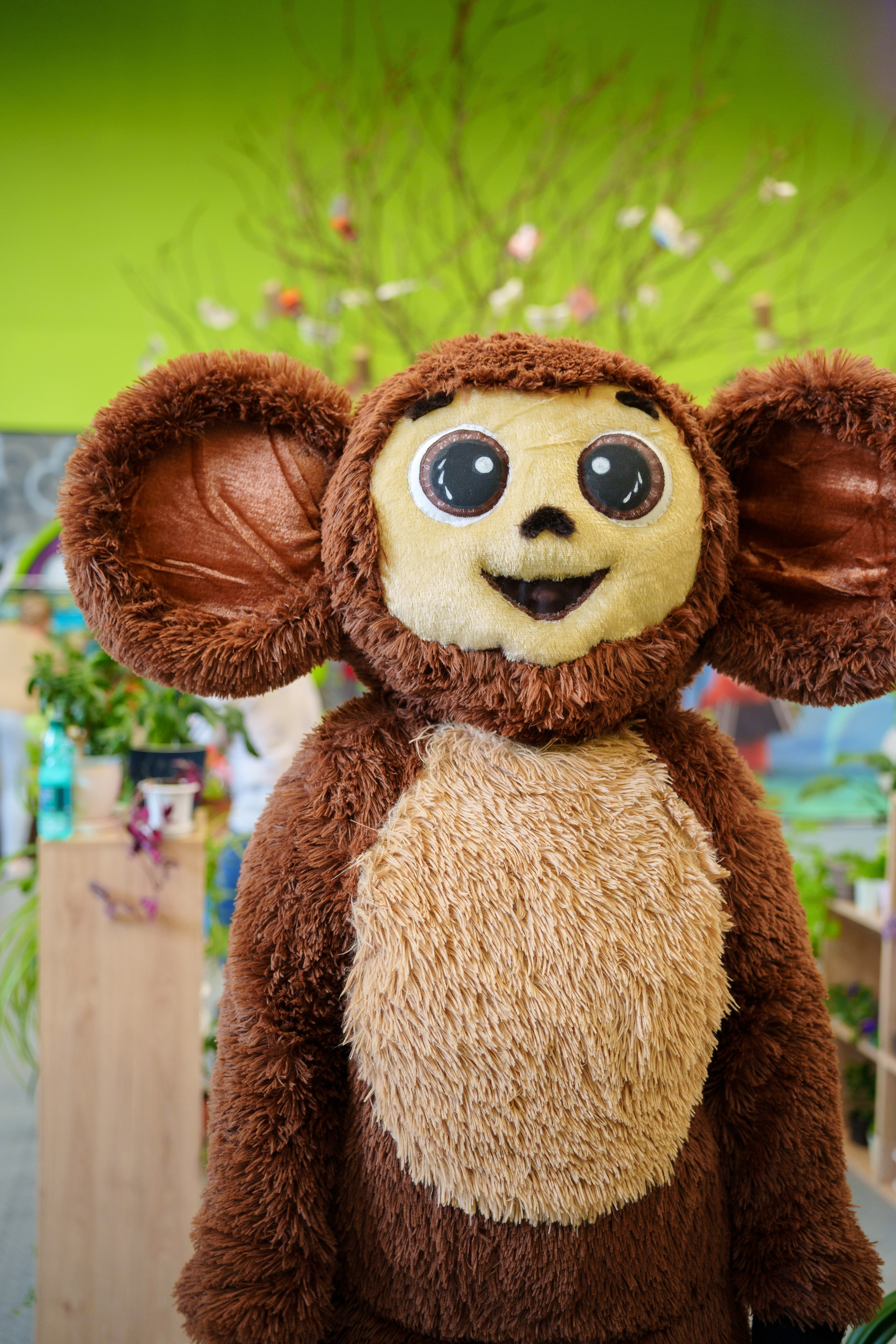 Благотворительный фестиваль «Мир! Труд! Май!» — КЦ «Октябрь» (13.05.2023). Фотограф Андрей Чеботок (Белгород, Курск, Воронеж, Старый Оскол)