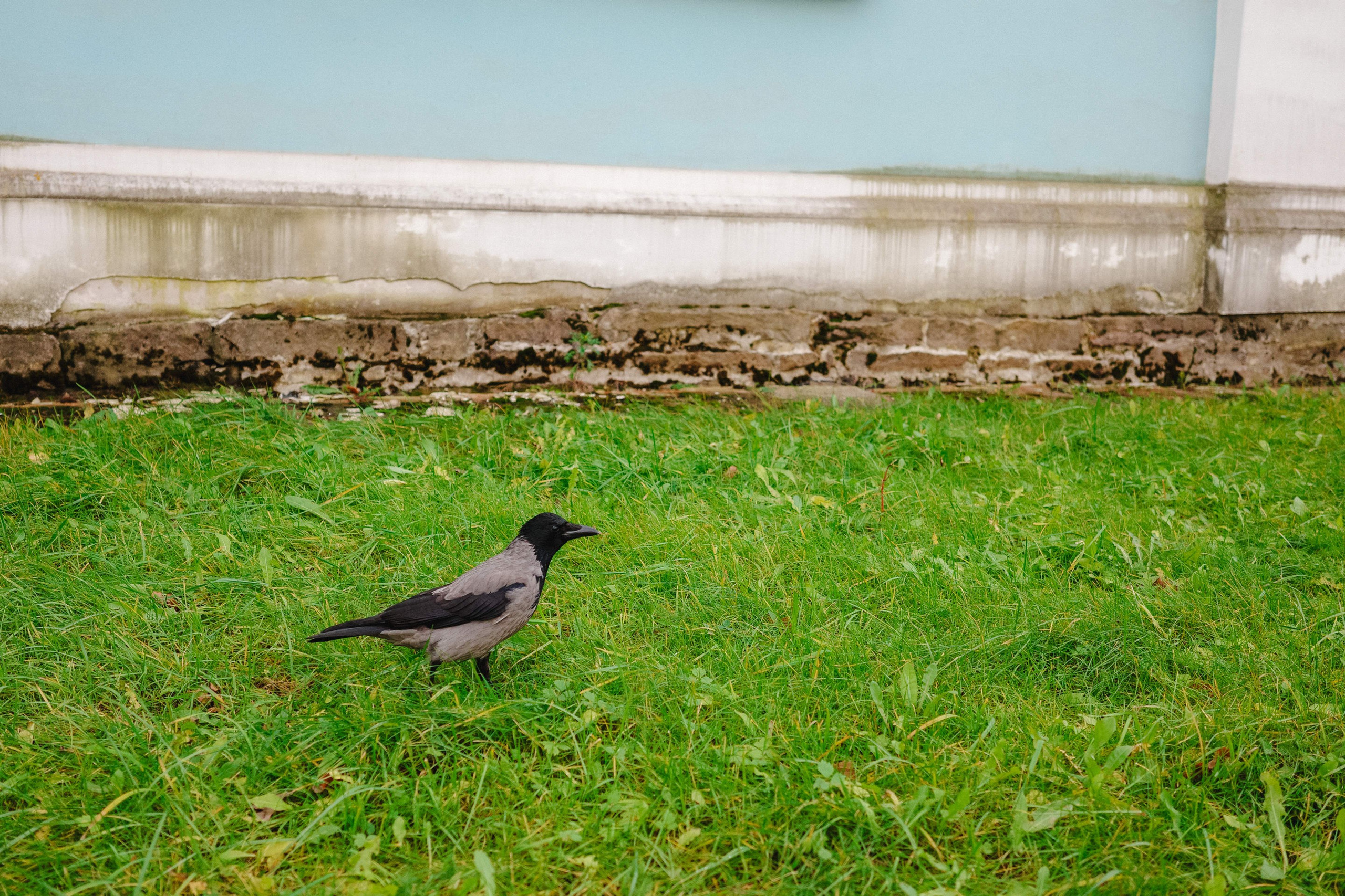 2024.11. Фотограф Алексей Алексеев
