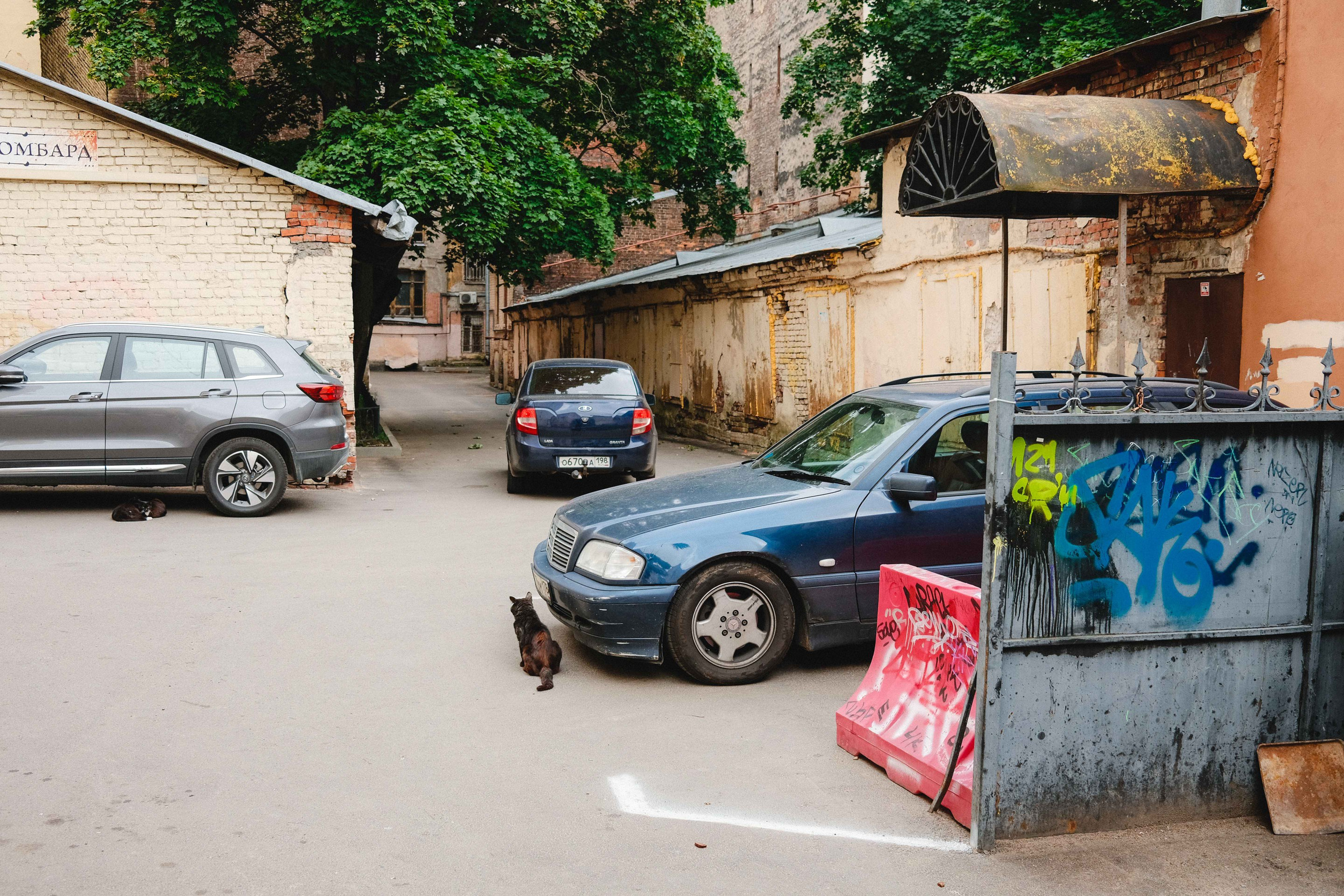 2023.07. Фотограф Алексей Алексеев