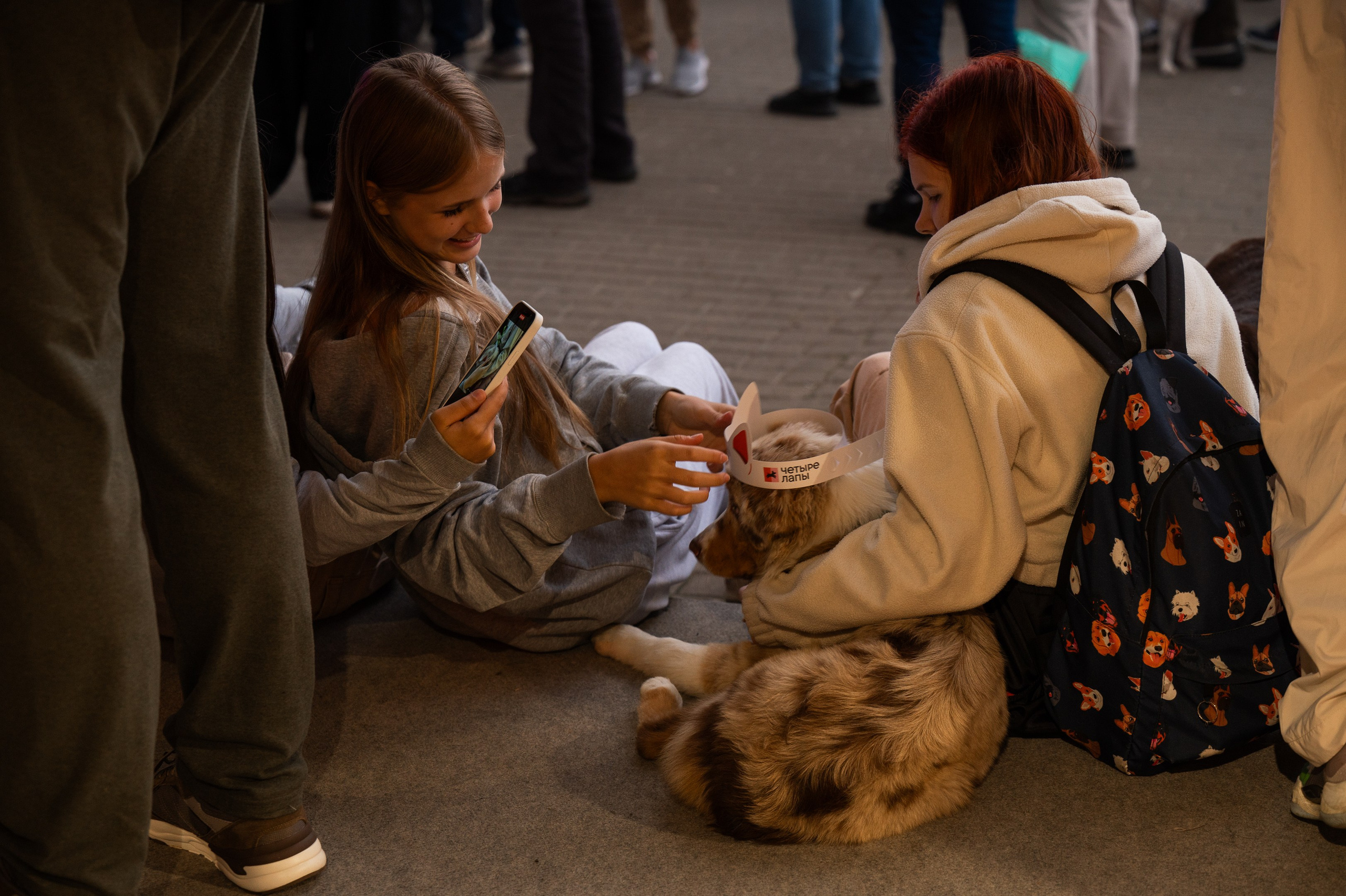 4lapy fest 2025. Photographer in Moscow Anna Chistiakova