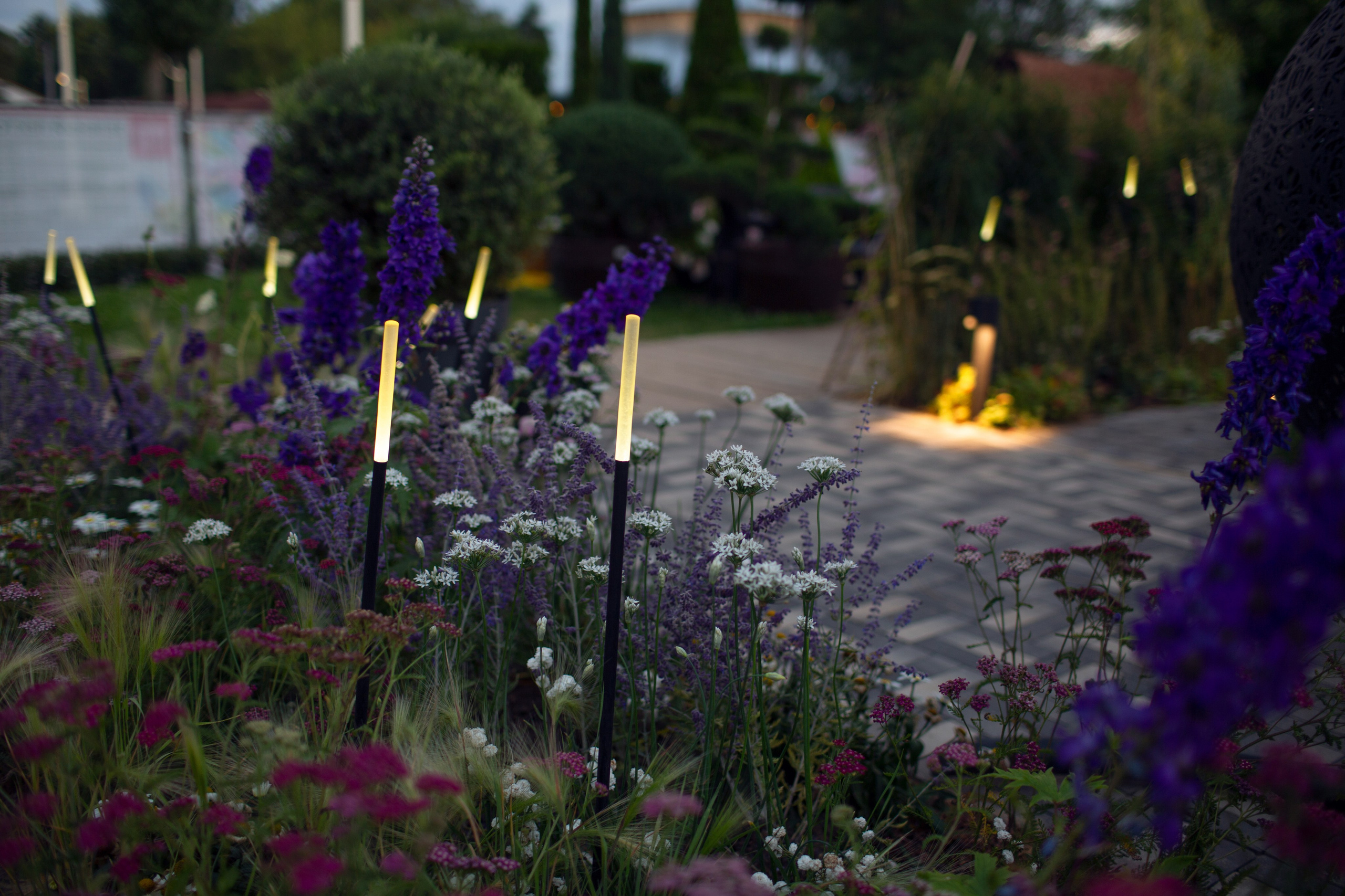 Декоративный ландшафтный свет TEMPARIUM. Фотограф Наталья Молчанова