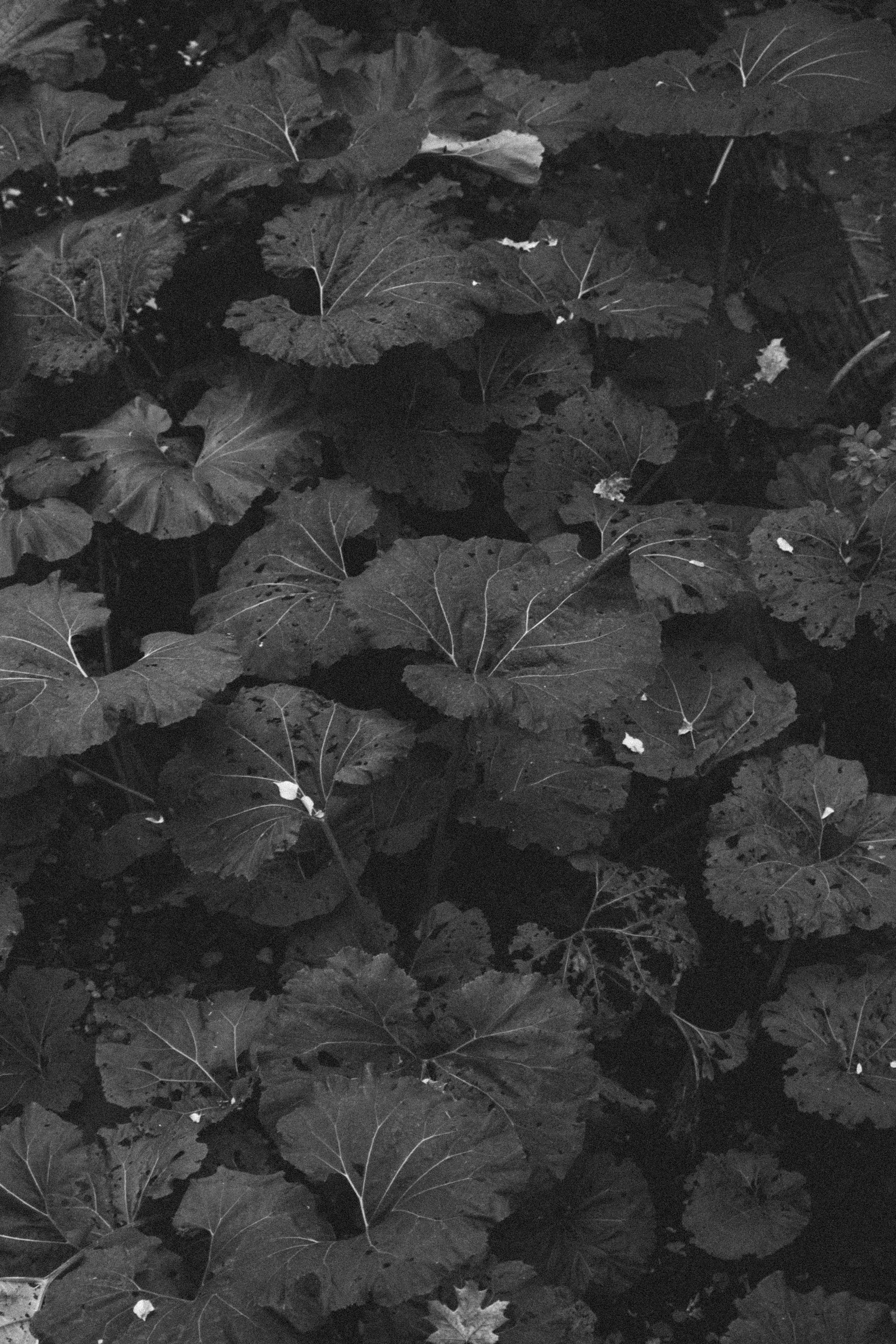 Ира. Привет, меня зовут Эмилия. Сниму кино о тебе