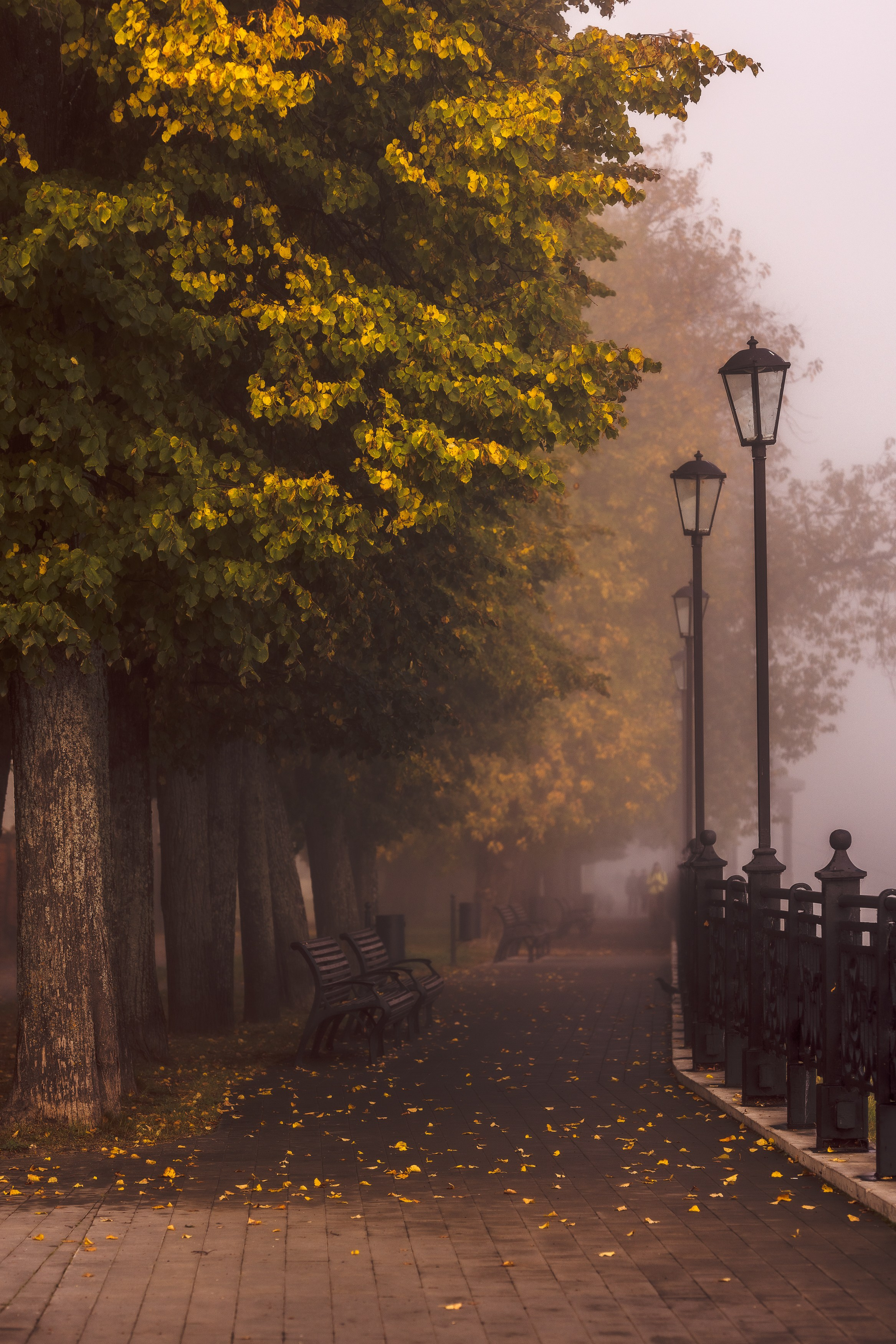 Уличный снимок туманной улицы Кинешмы теплой осенью -Петухов Владимир