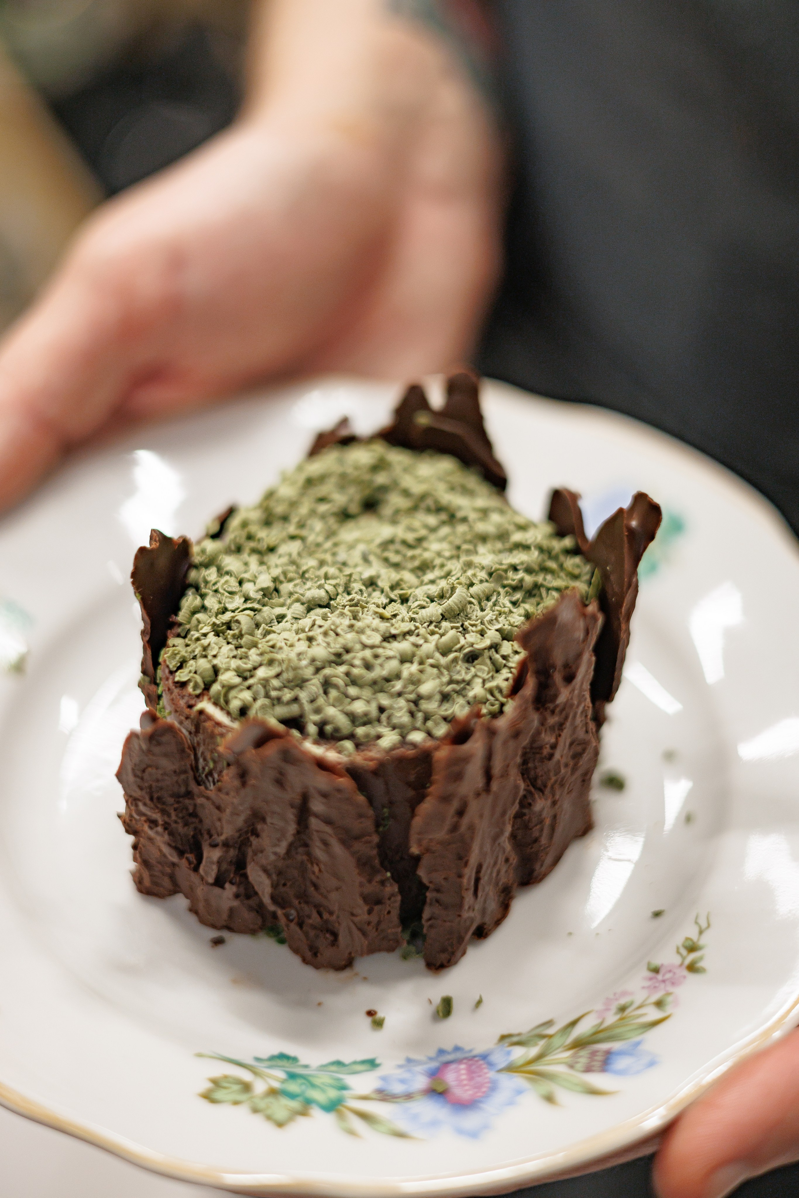 Гастроужин Поселенцы в гостях у Самозванцев