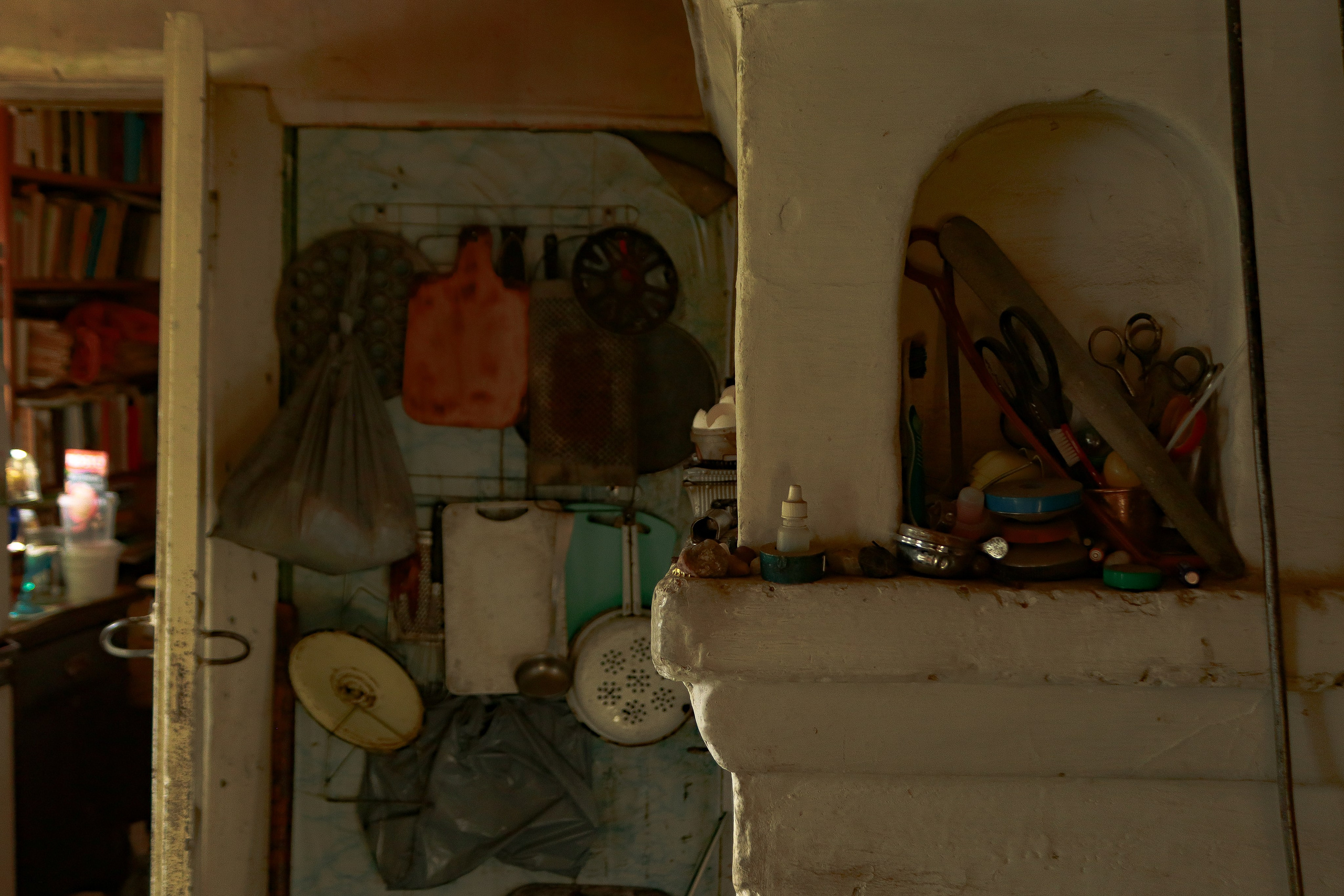 Вепсский ковчег. Полина Щапова БМК235 Медиаком — НИУ ВШЭ