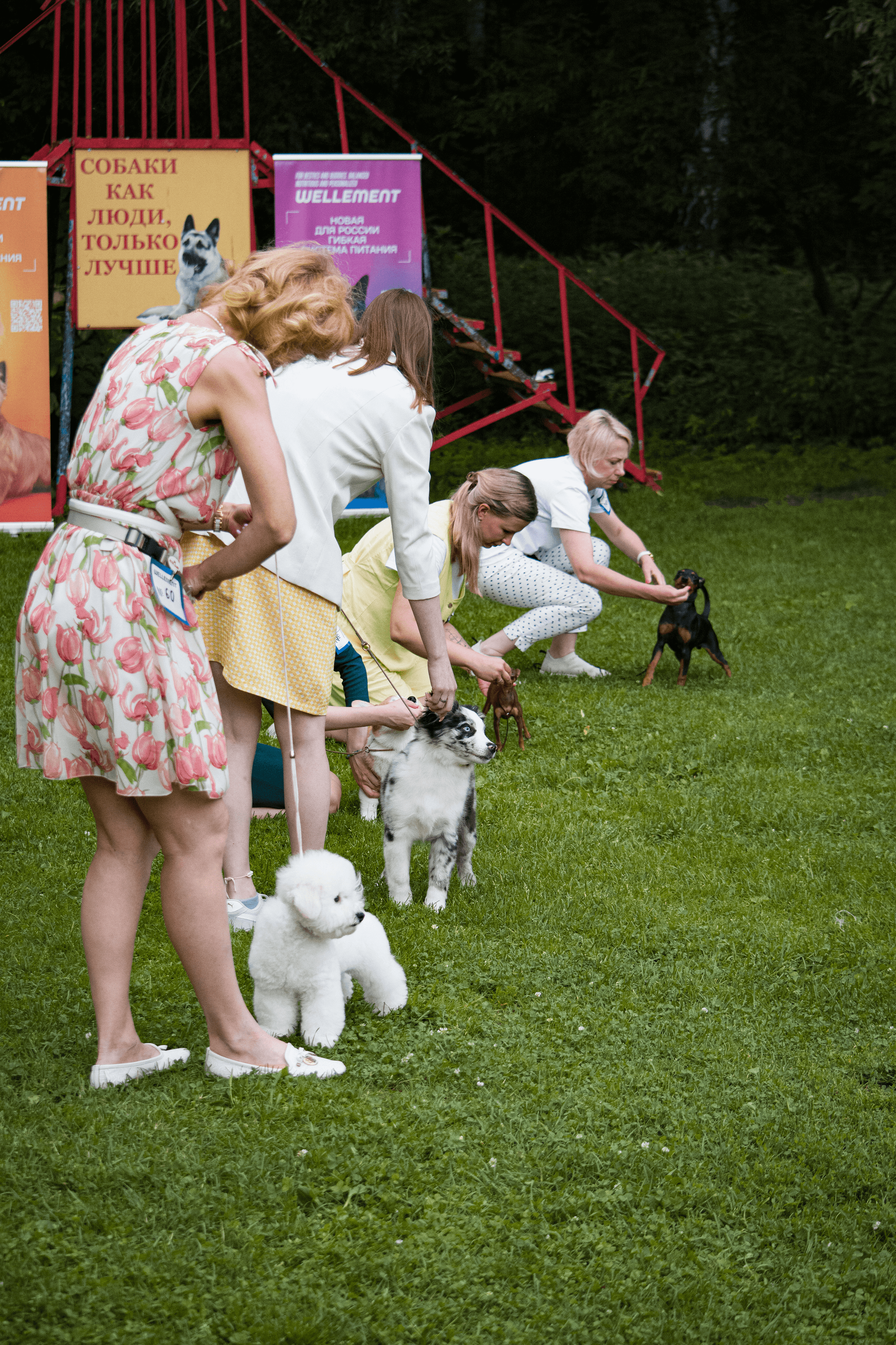 Reportage & Events. Фотограф Евгения Саботаж в г. Москва