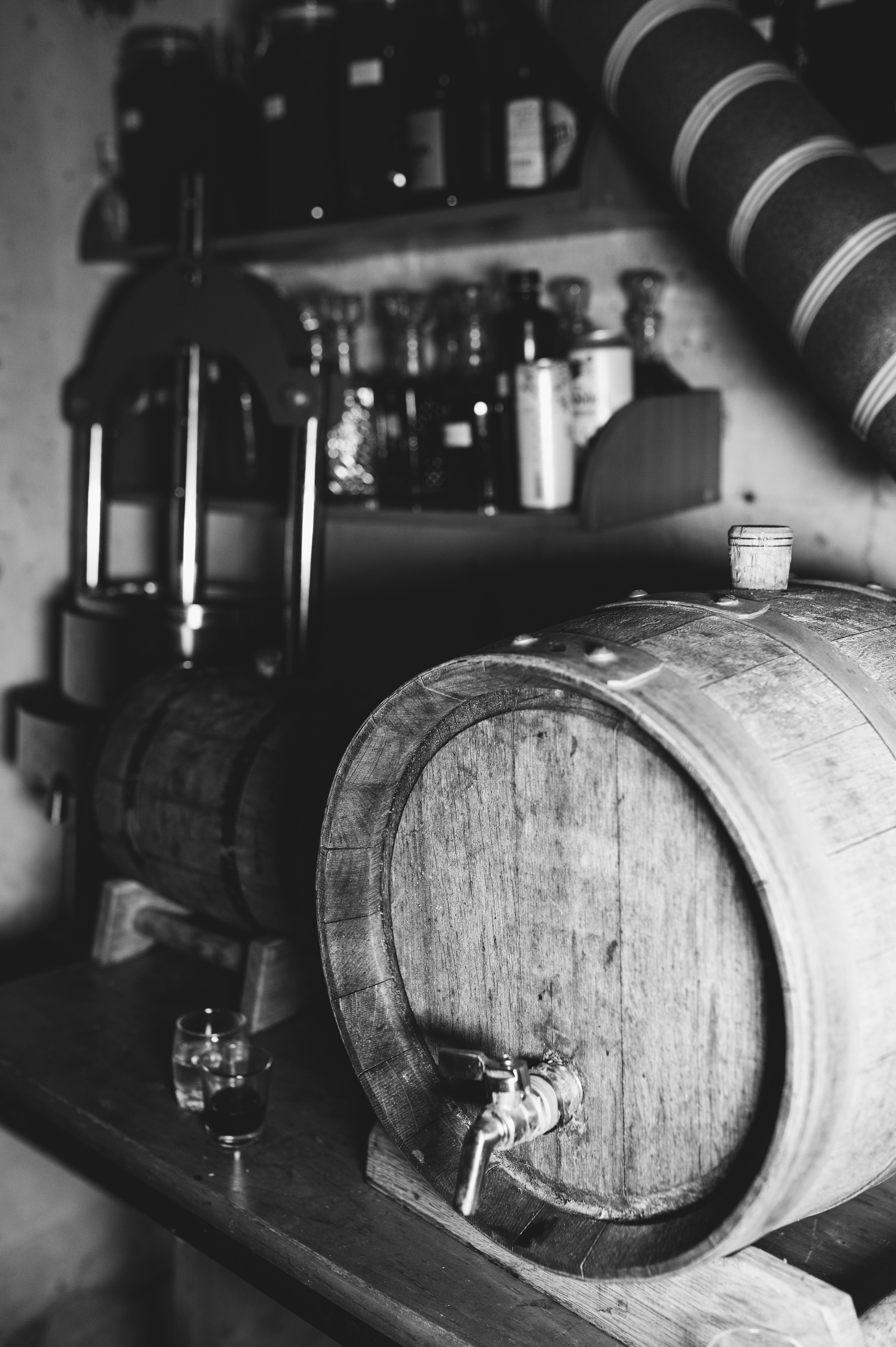 Семья Кирилла и Софии. Свадебный и семейный фотограф в Санкт-Петербурге Александр Озеров