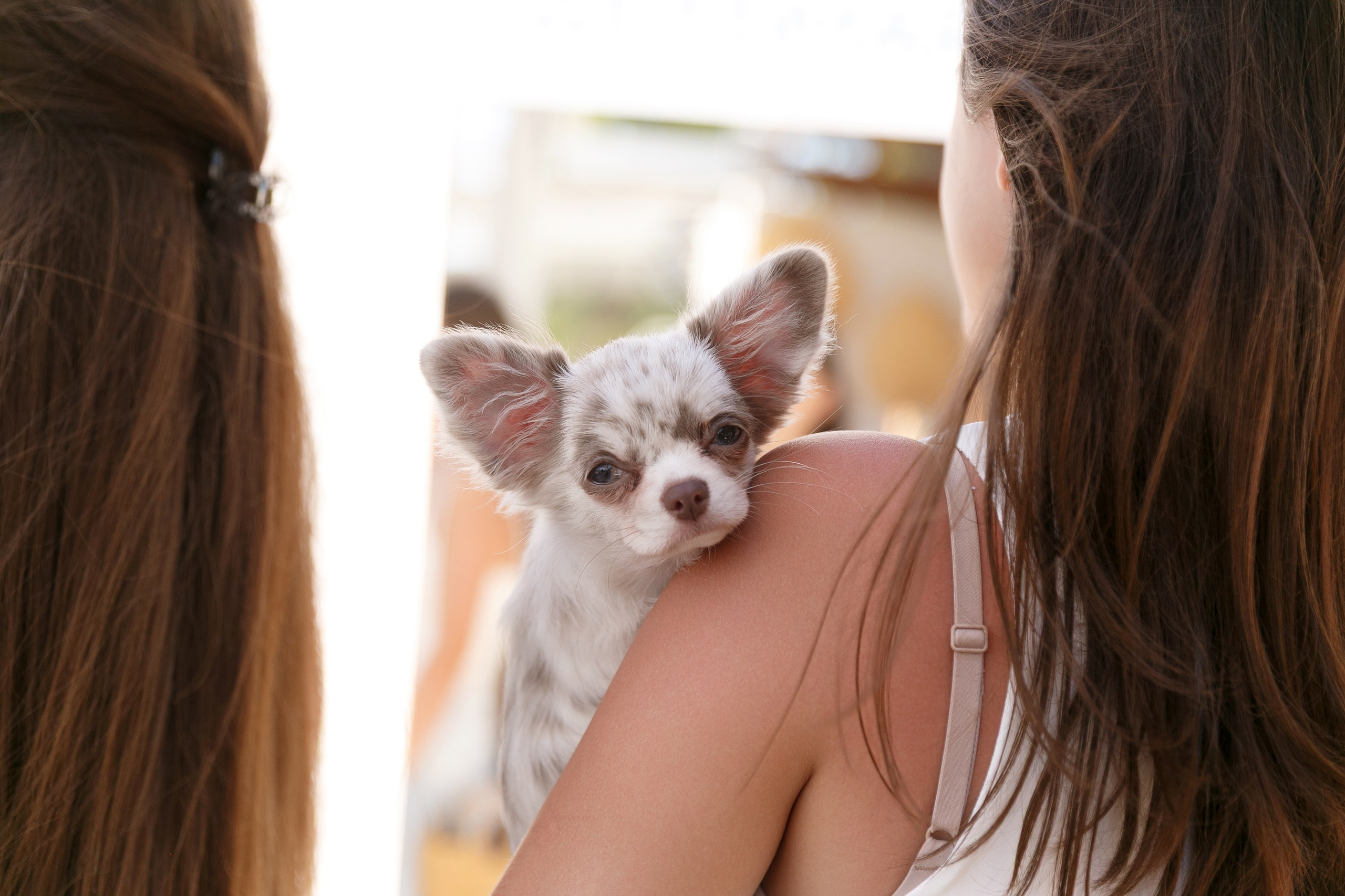 «Похмельный рейв» в ресторане DELMAR. Репортажный фотограф в Ялте Алексей Семёнов