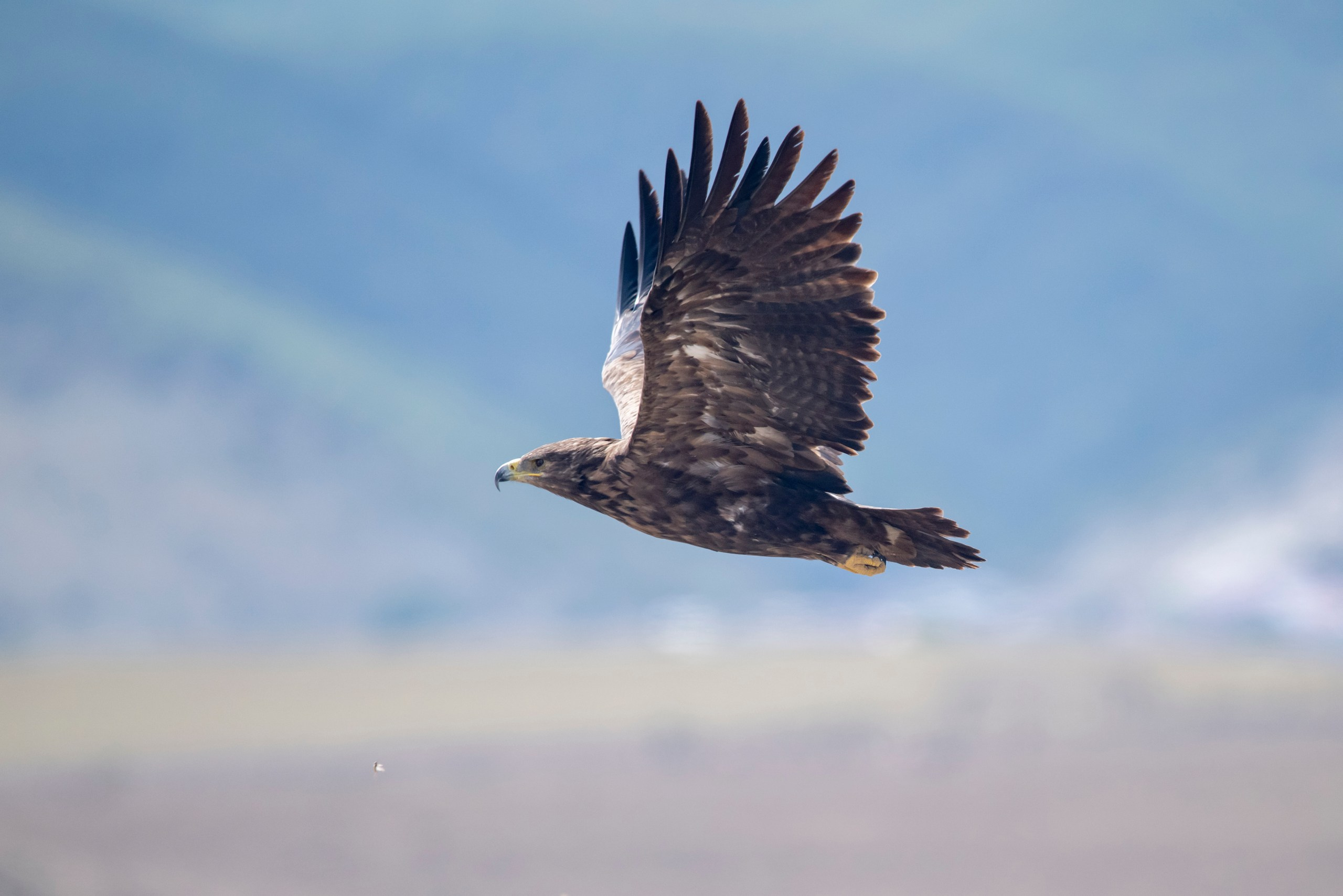 Природа Дагестана, сентябрь 2024. Foto-Zuev фотография как искусство