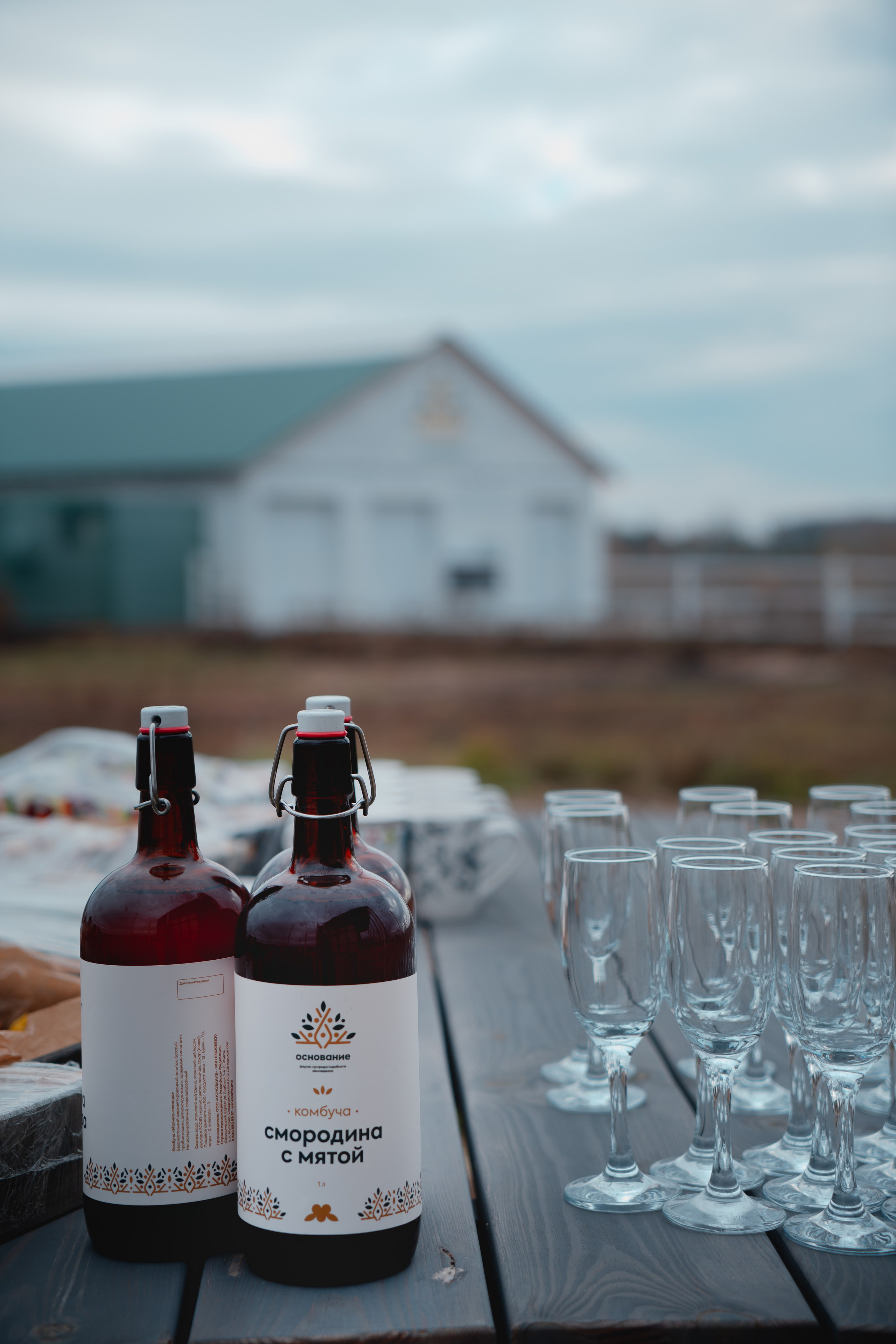 Ферма Основание. Фотограф г. Тольятти