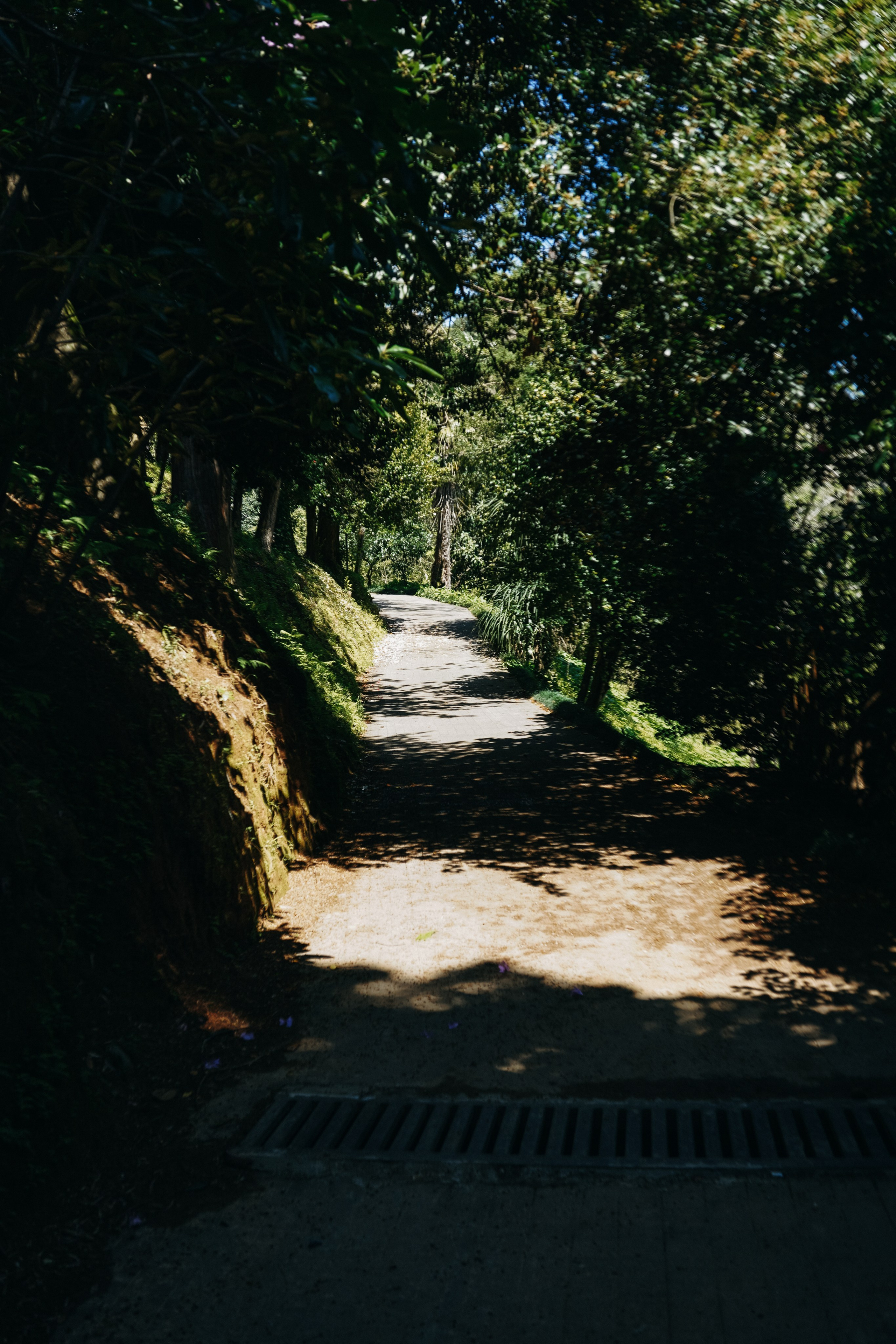 ГРУЗИЯ. Ася Краснова