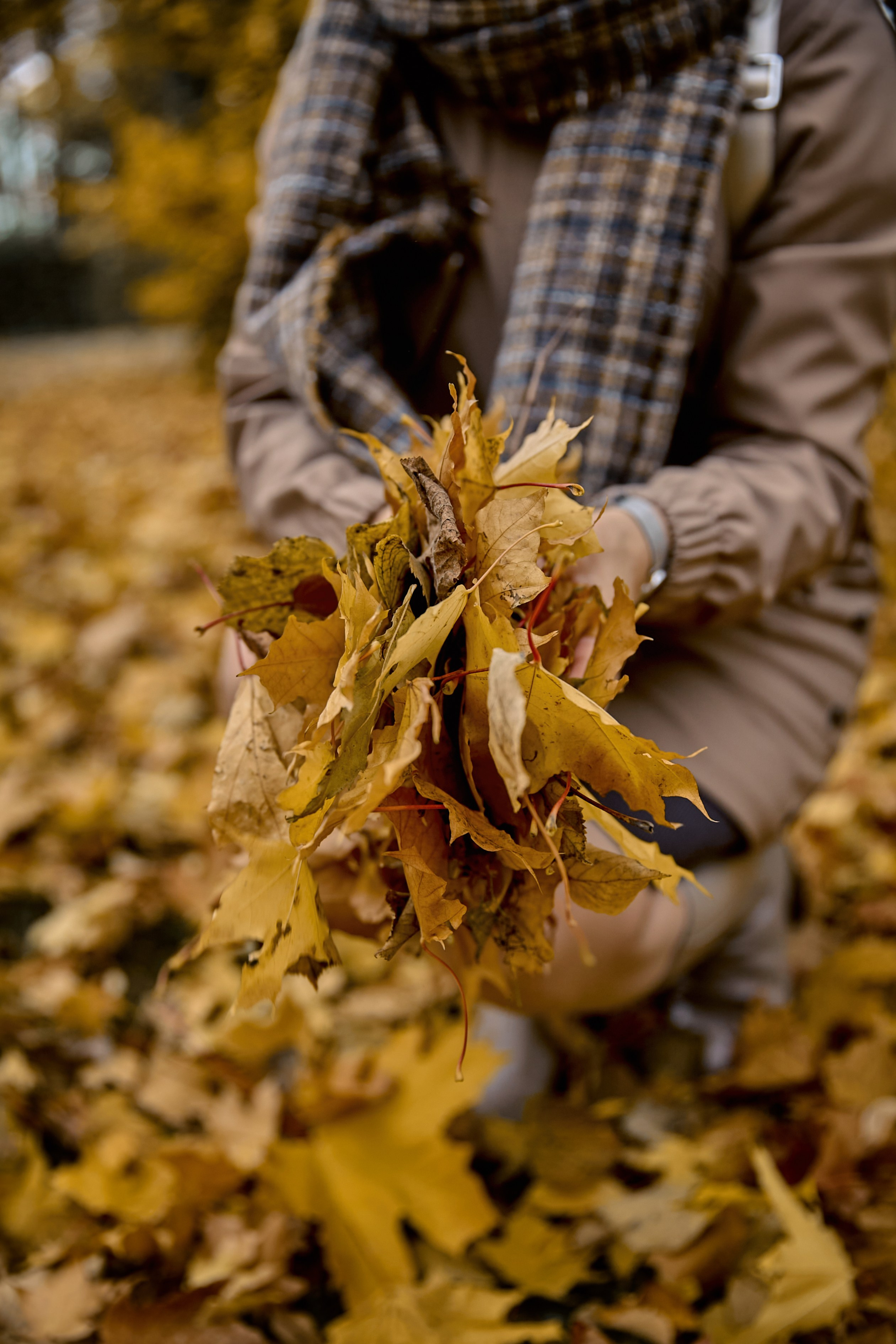 Eugenia autumn. Рекламный фотограф Санкт-Петербург Катерина Мишкель