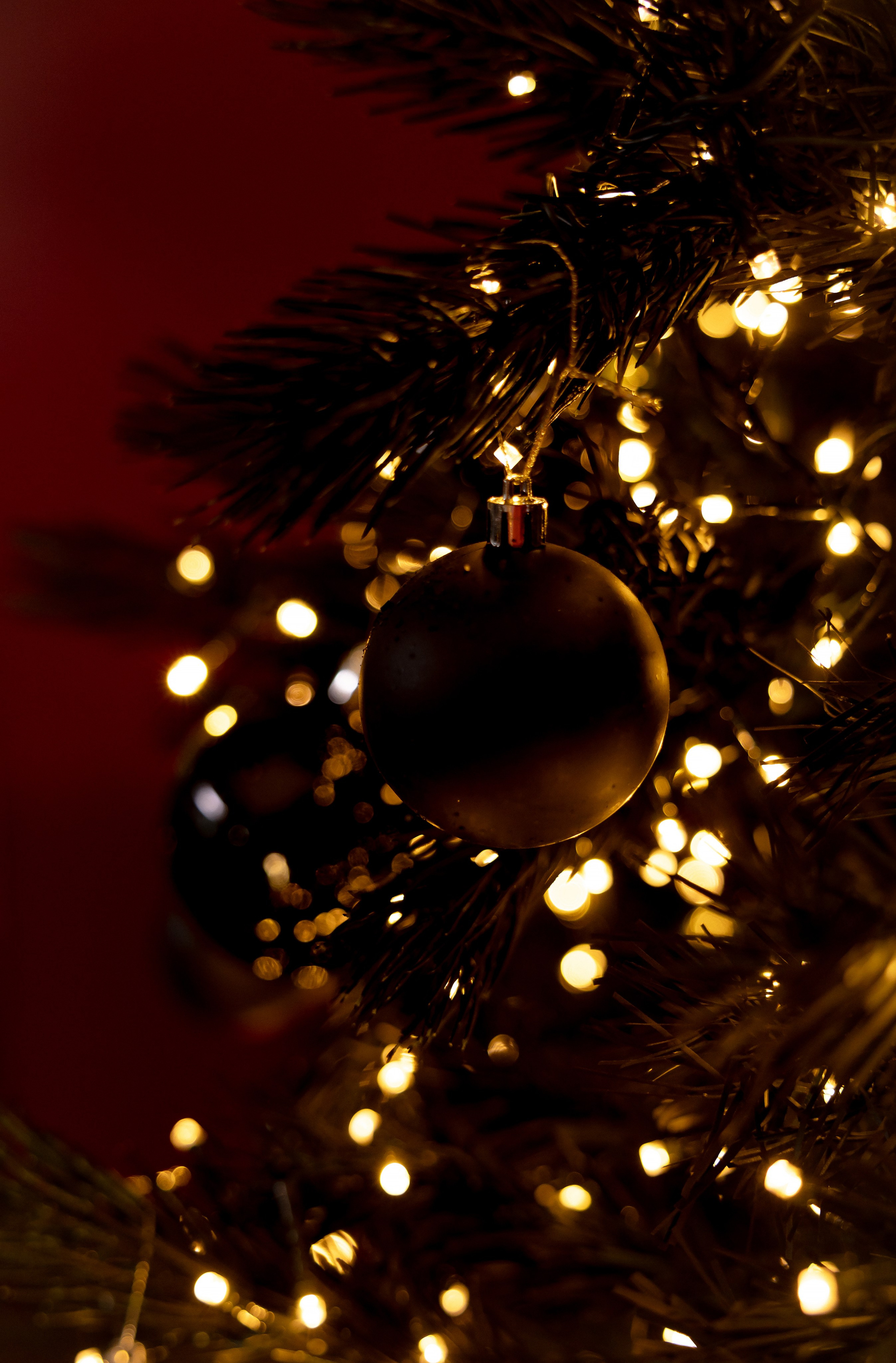 Мария. Свадебный и портретный фотограф в Миассе Филиппенко Дарья