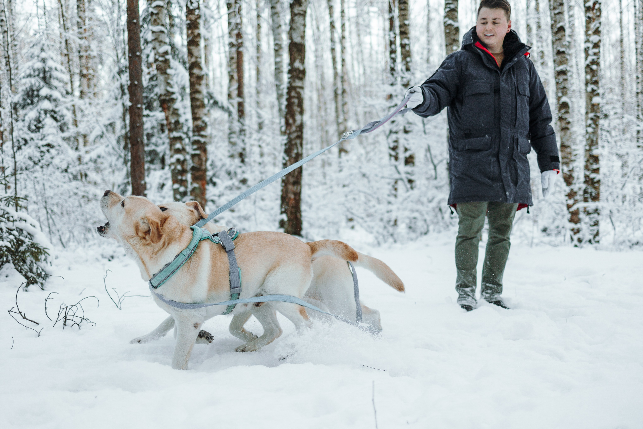 Ребята и их хвостатая семейка. Фотограф — Анималист | Санкт-Петербург