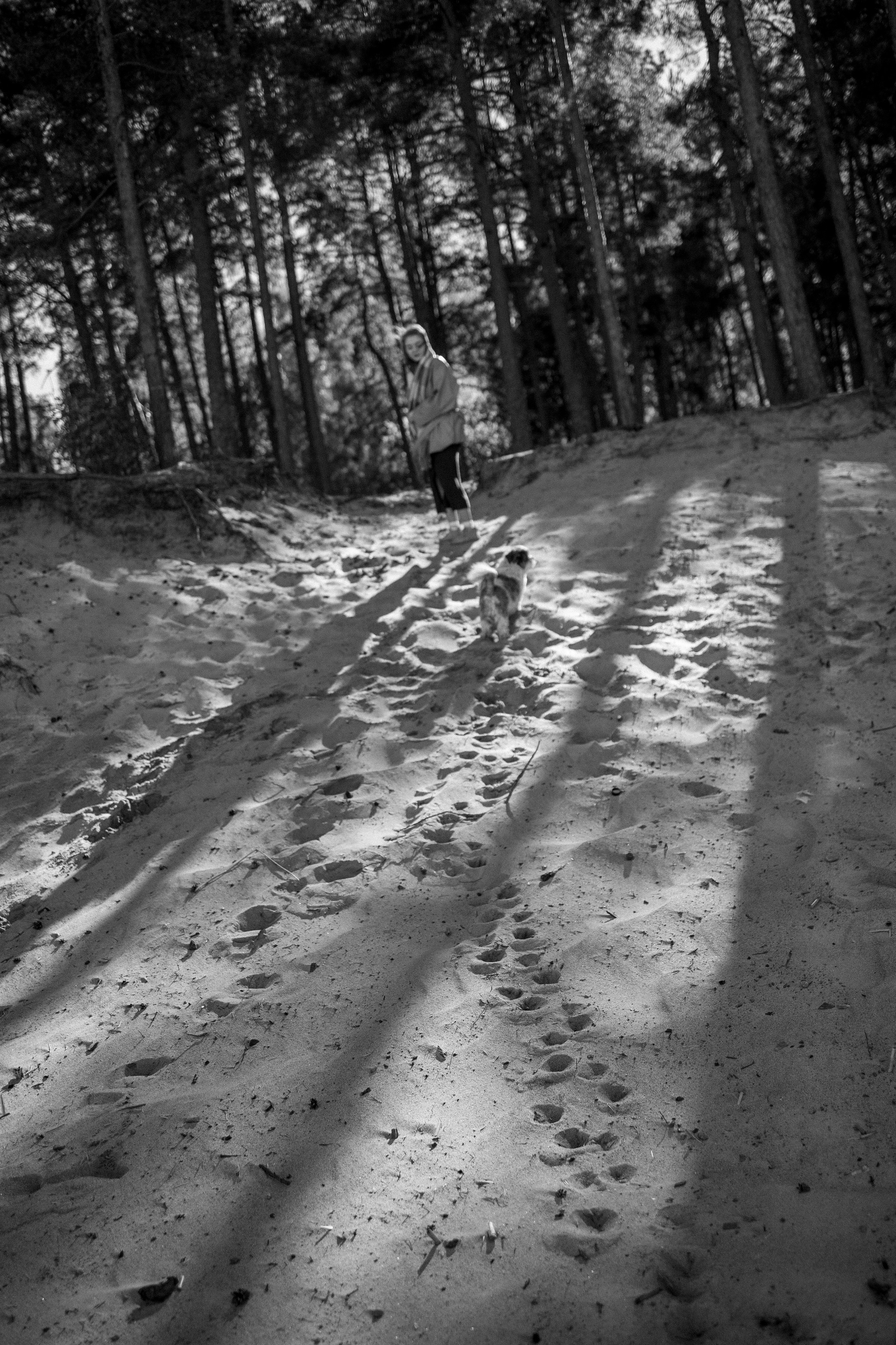 Настя и Франт. Фотограф — Анималист | Санкт-Петербург