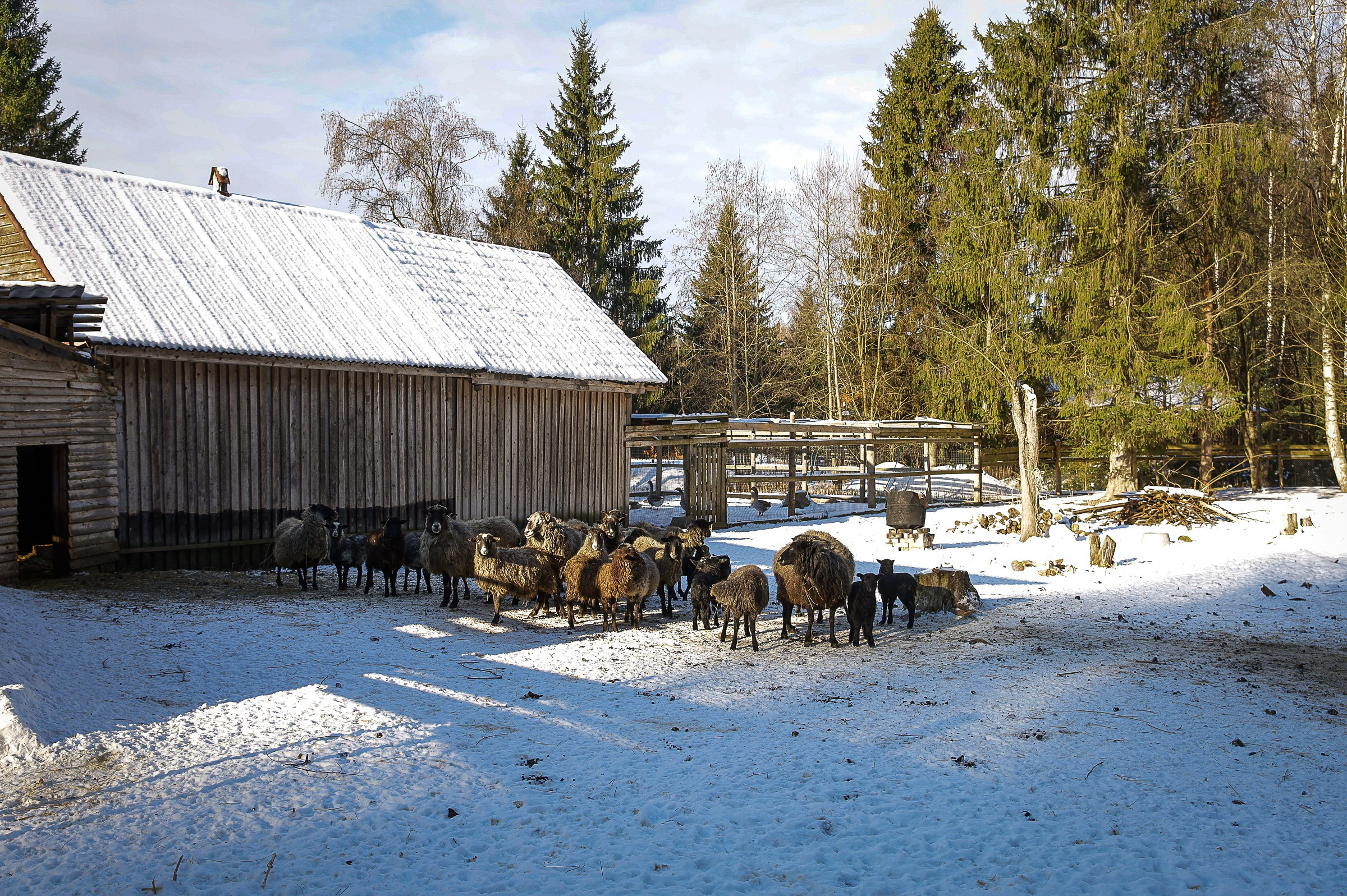 ОХОТНИЧЬЯ ЗАИМКА. ТВЕРСКАЯ ОБЛАСТЬ. Фотограф в Москве Ольга Колесникова