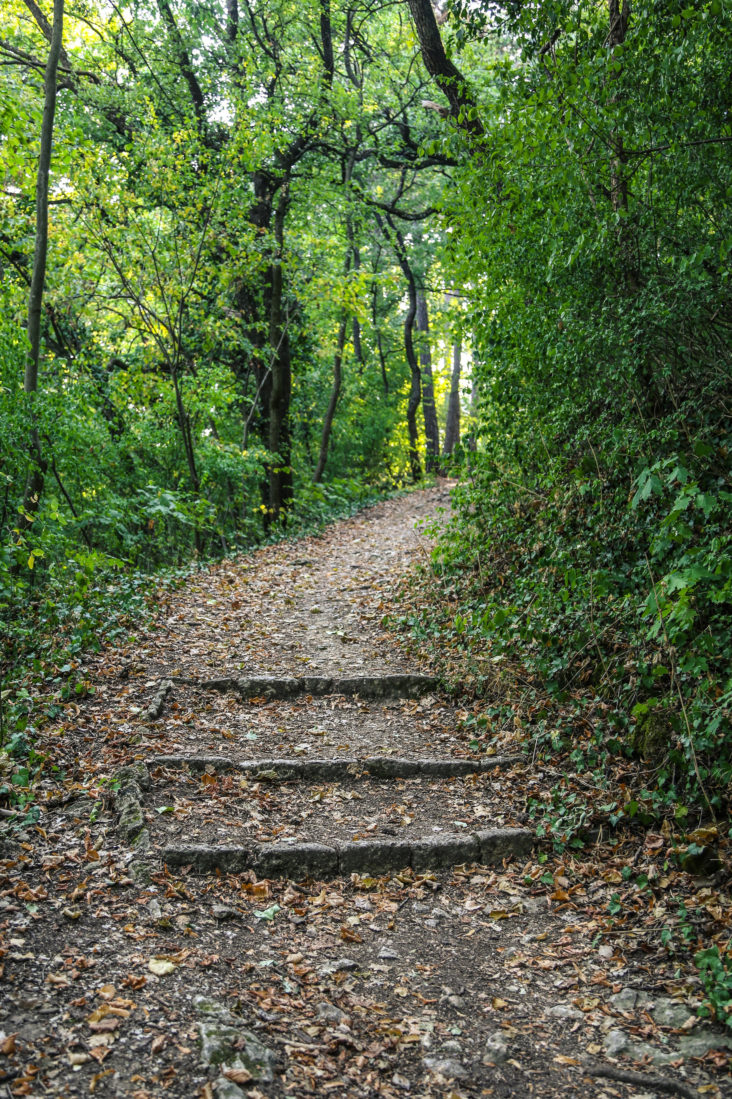 Австрия: Баден. Дарья Письменюк / Darya Leitstern — фотограф, музыкант, журналист, путешественник