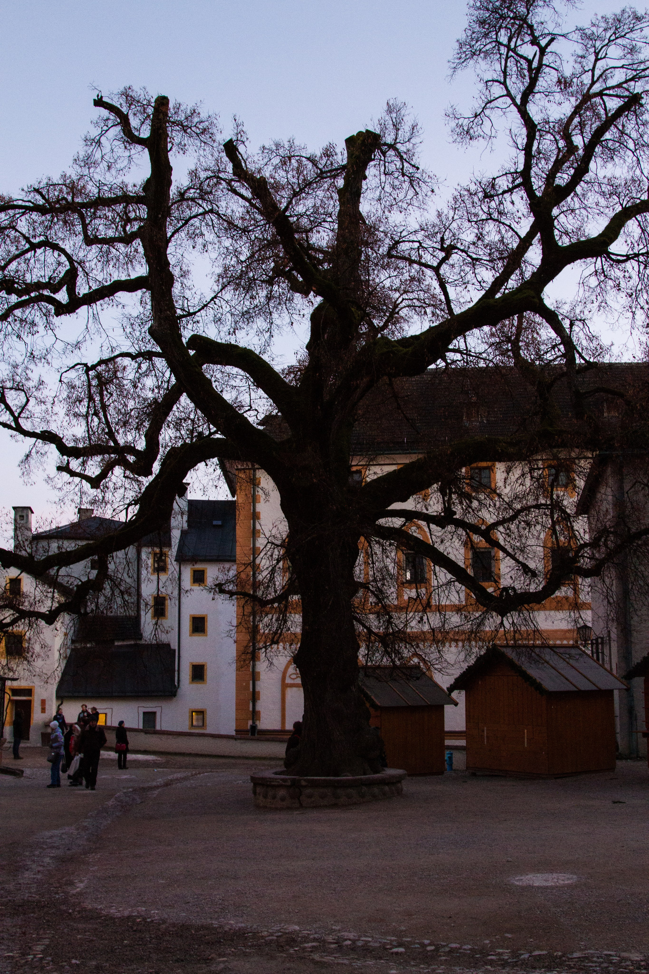 Австрия: Зальцбург. Дарья Письменюк / Darya Leitstern — фотограф, музыкант, журналист, путешественник