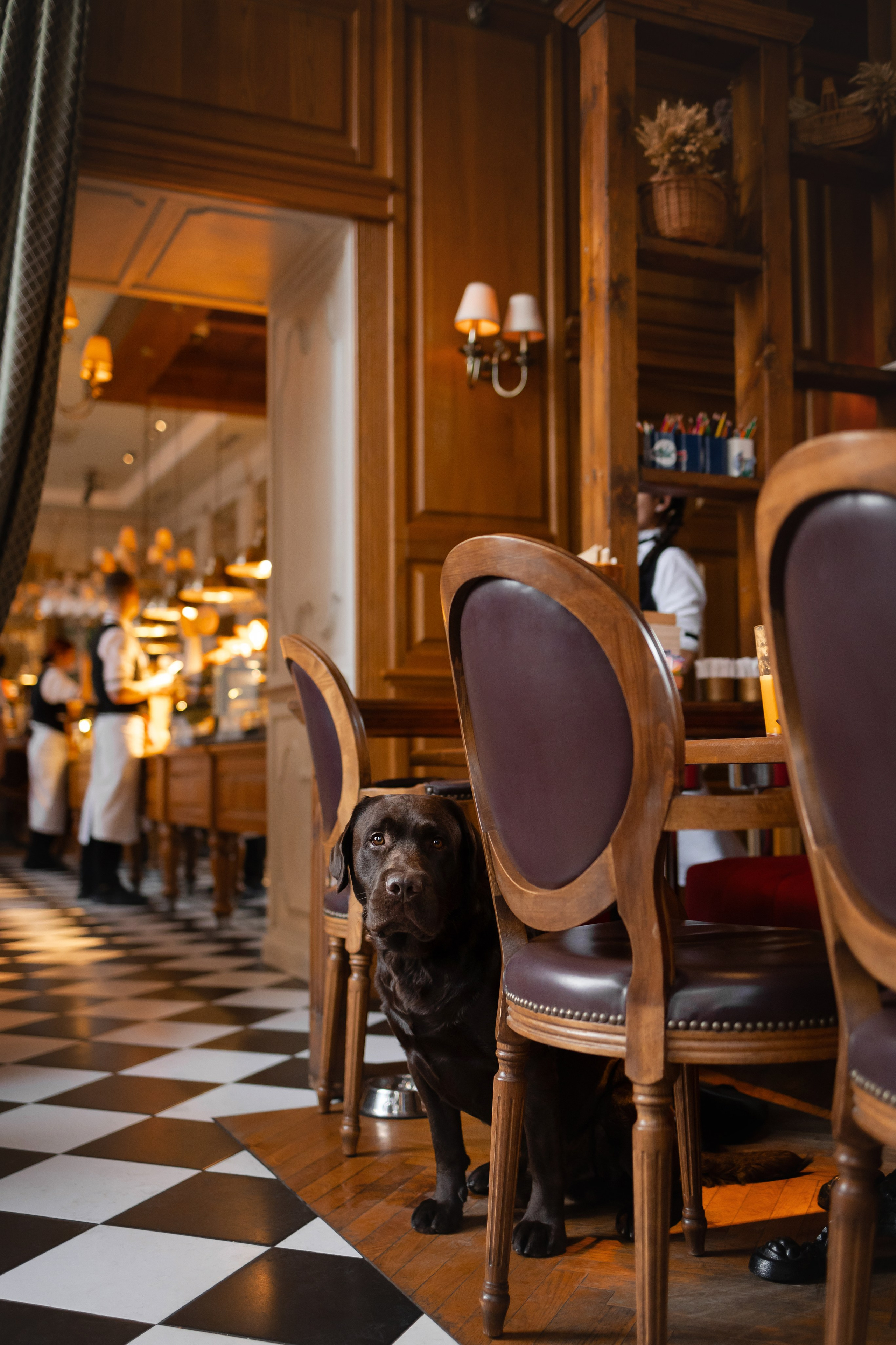 Фотосессия в центре Севастополя. Фотограф-анималист в Краснодаре Маша Мельникова