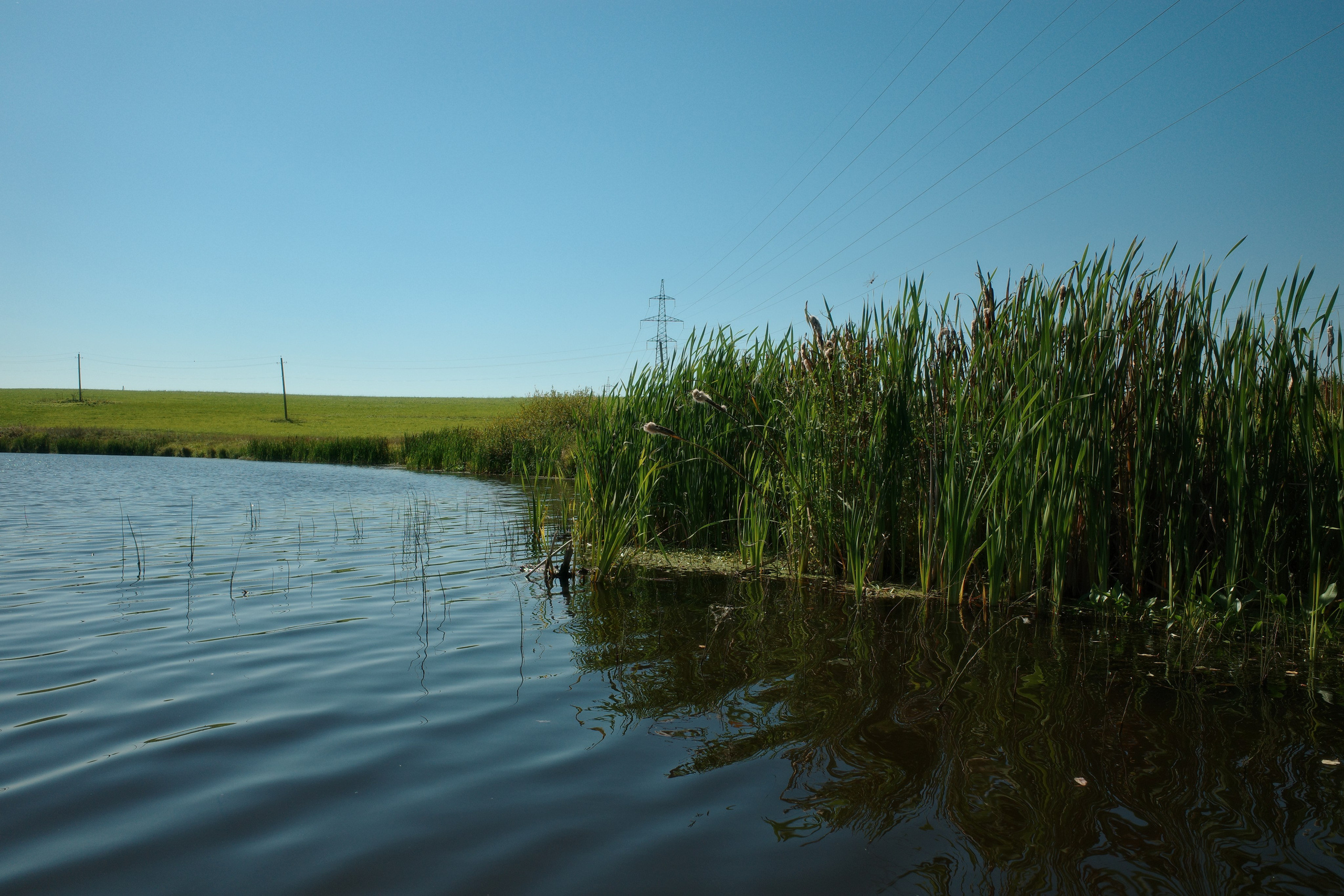 Константин Устинов — фотограф