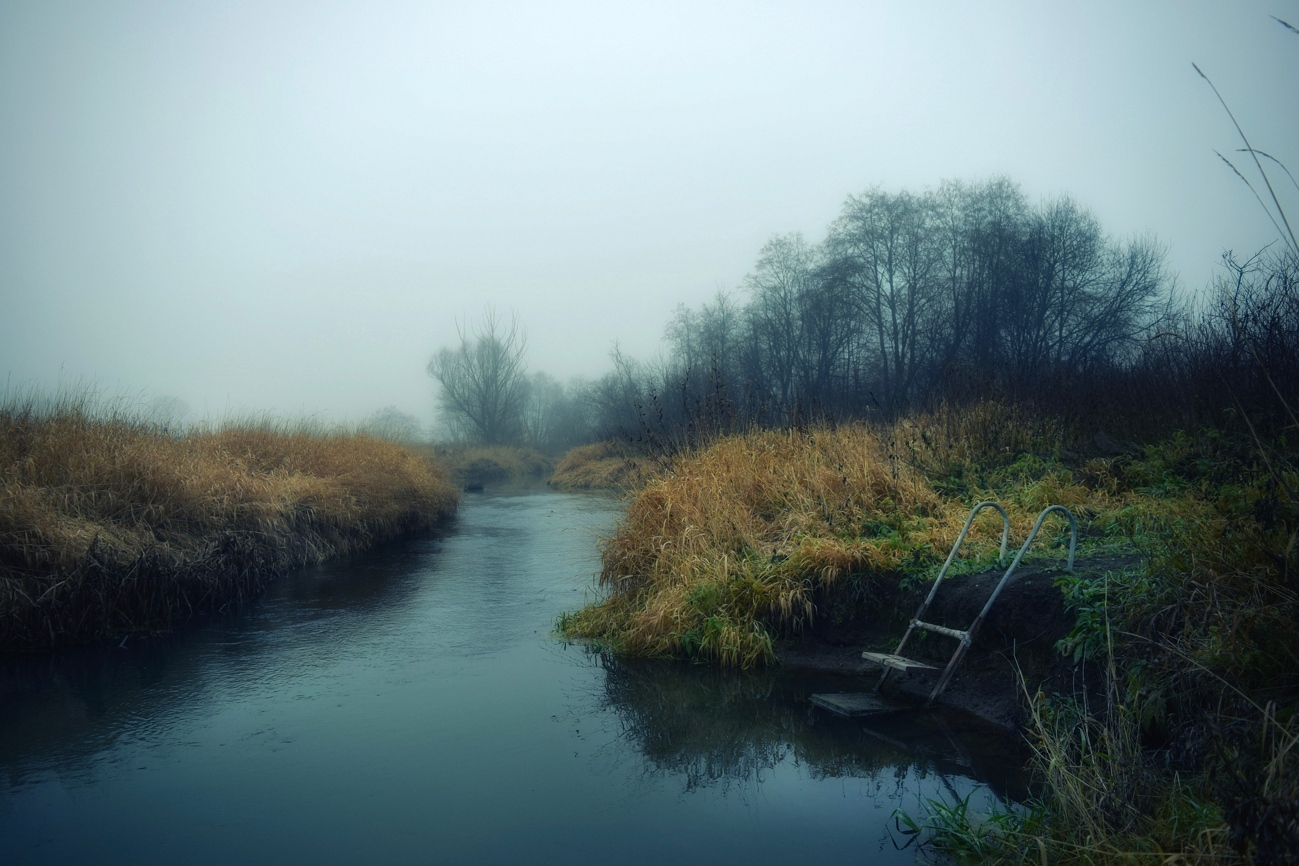 Портфолио. Фотограф в Москве