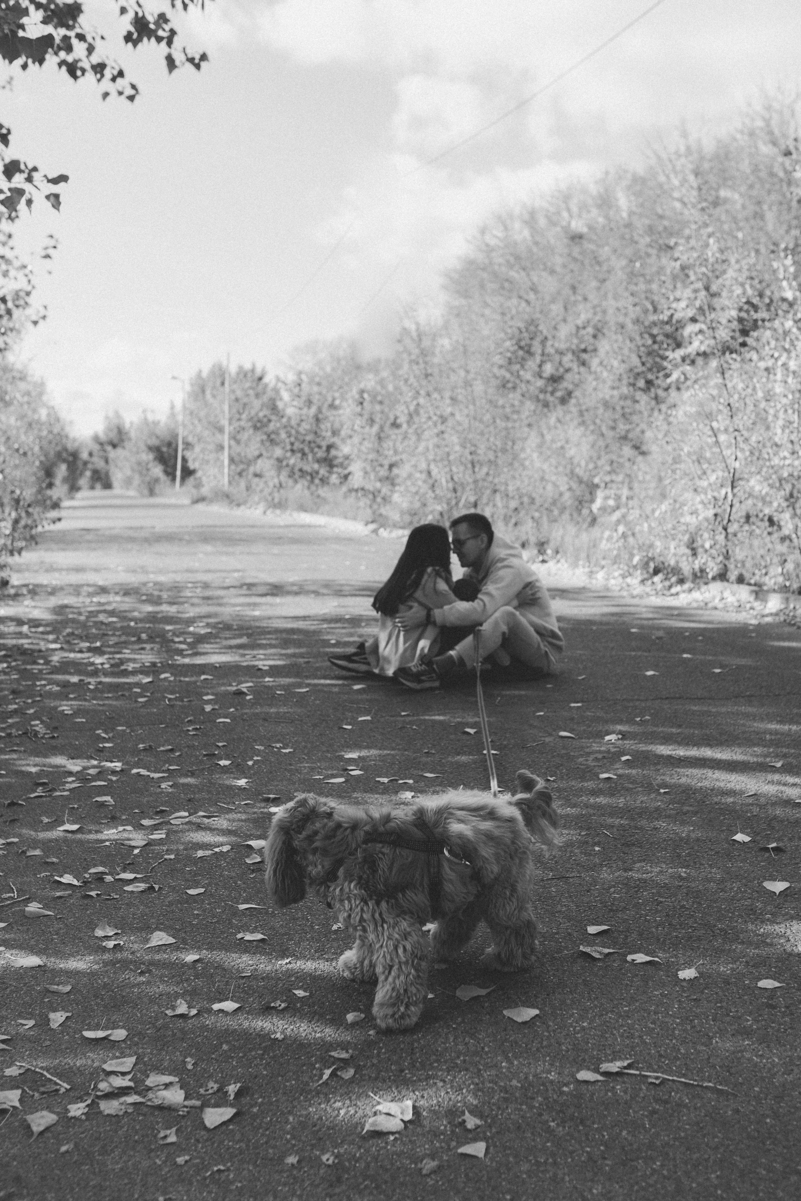 Саша Леся и Чипс. Свадебный фотограф Казань