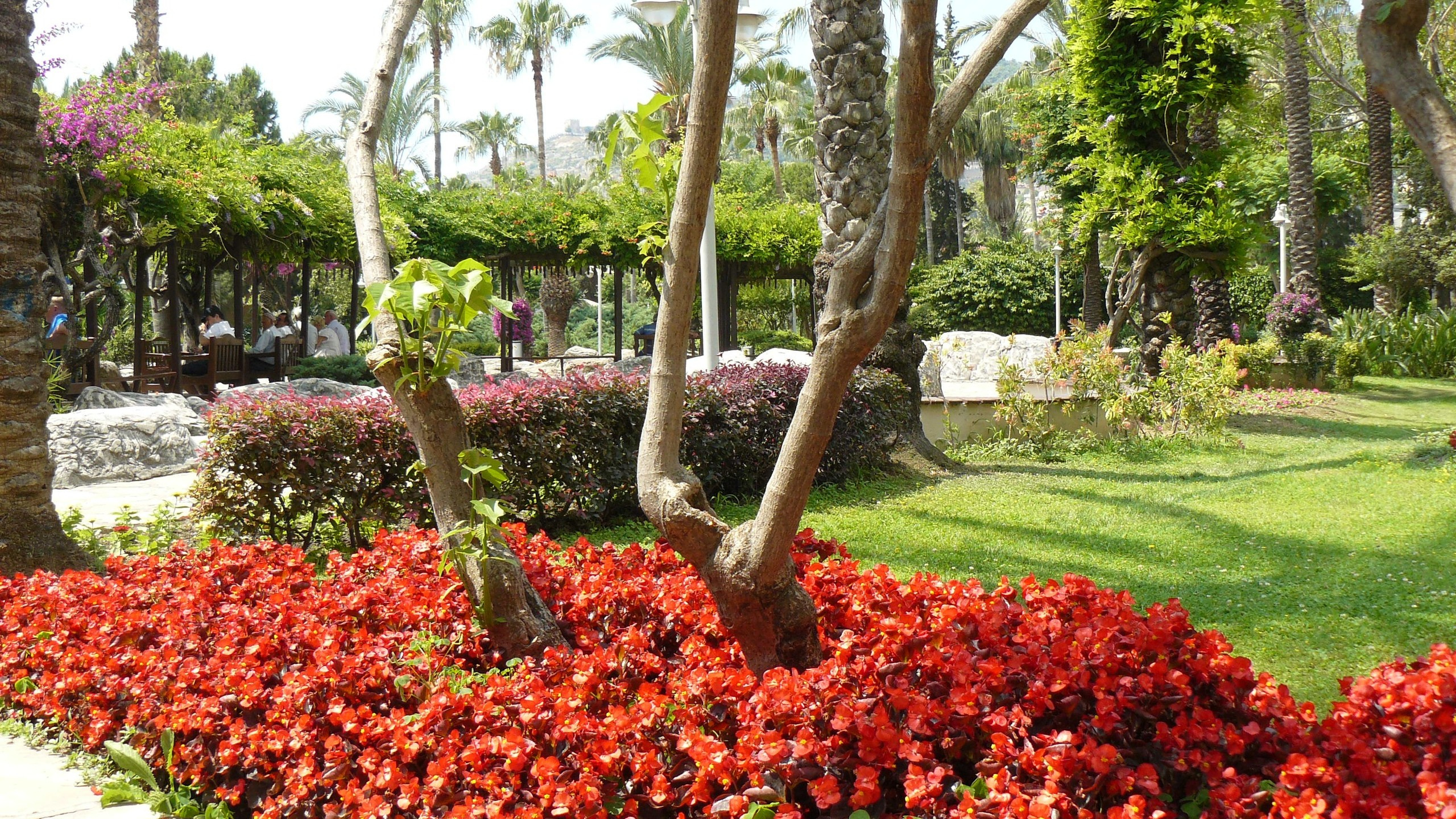 Алания 2015 порт и парк. Фотопрогулки по Миру