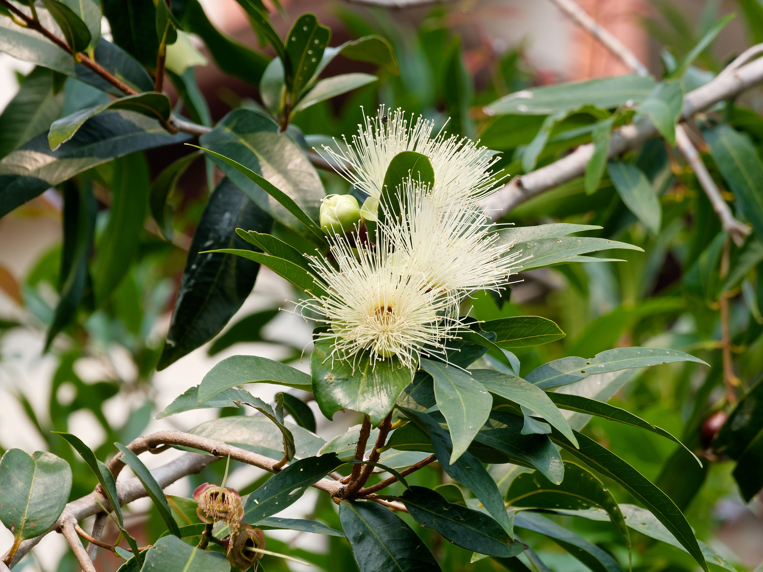 Хайнань 2026, первые впечатления. Фотопрогулки по Миру