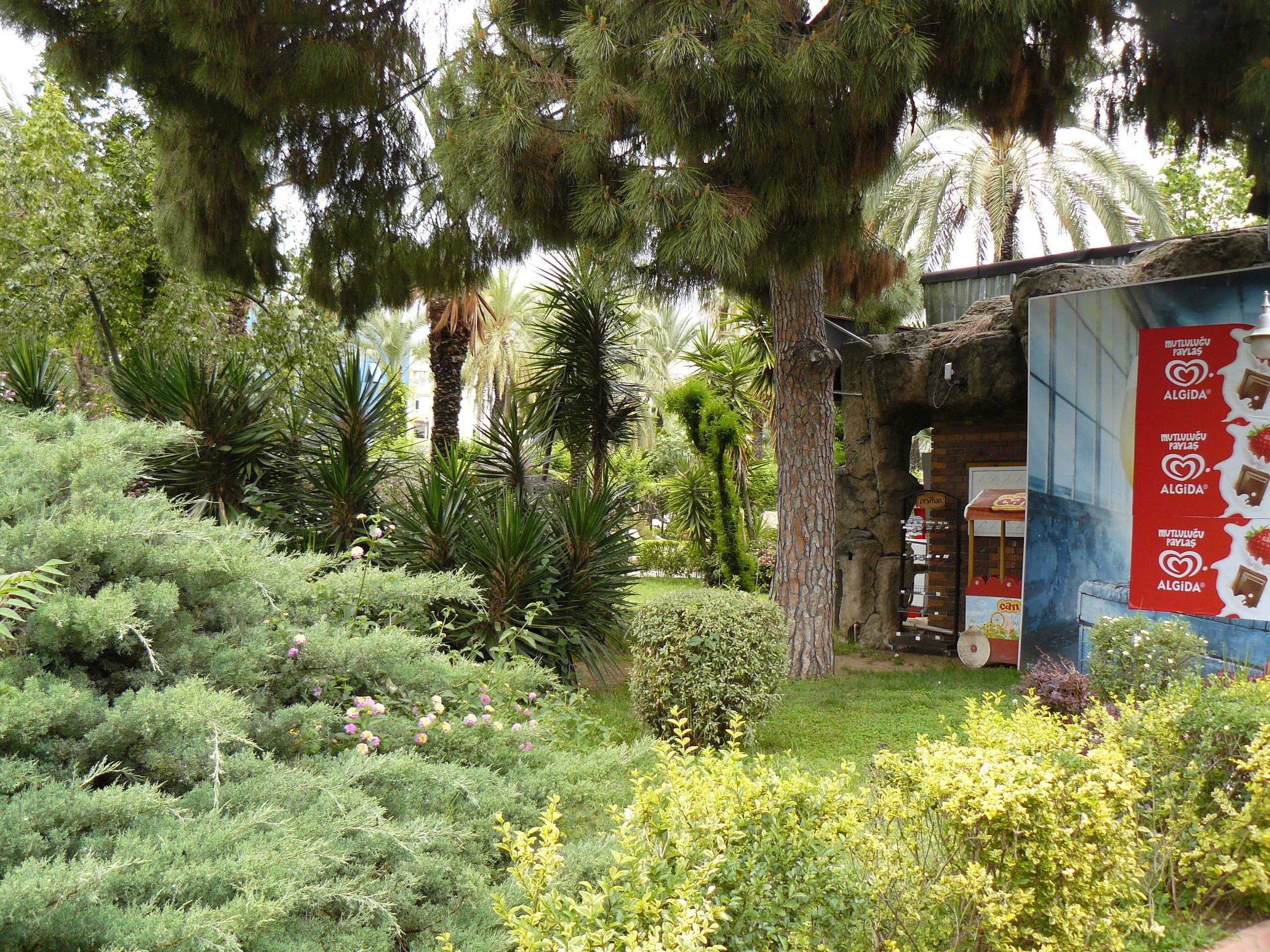 Алания 2014. Фотопрогулки по Миру