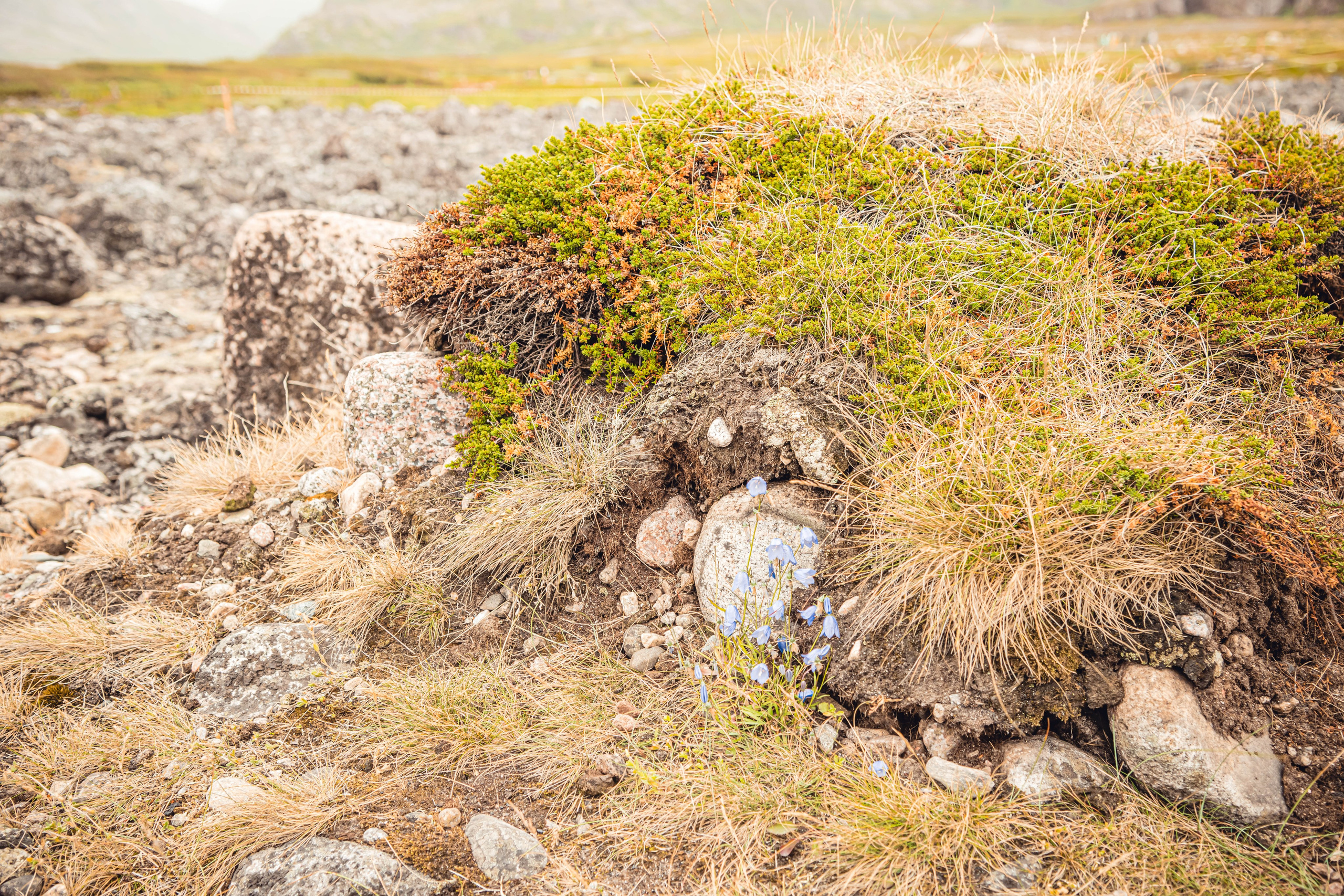 Кольский полуостров. Фотографирую для себя, своей семьи и друзей!