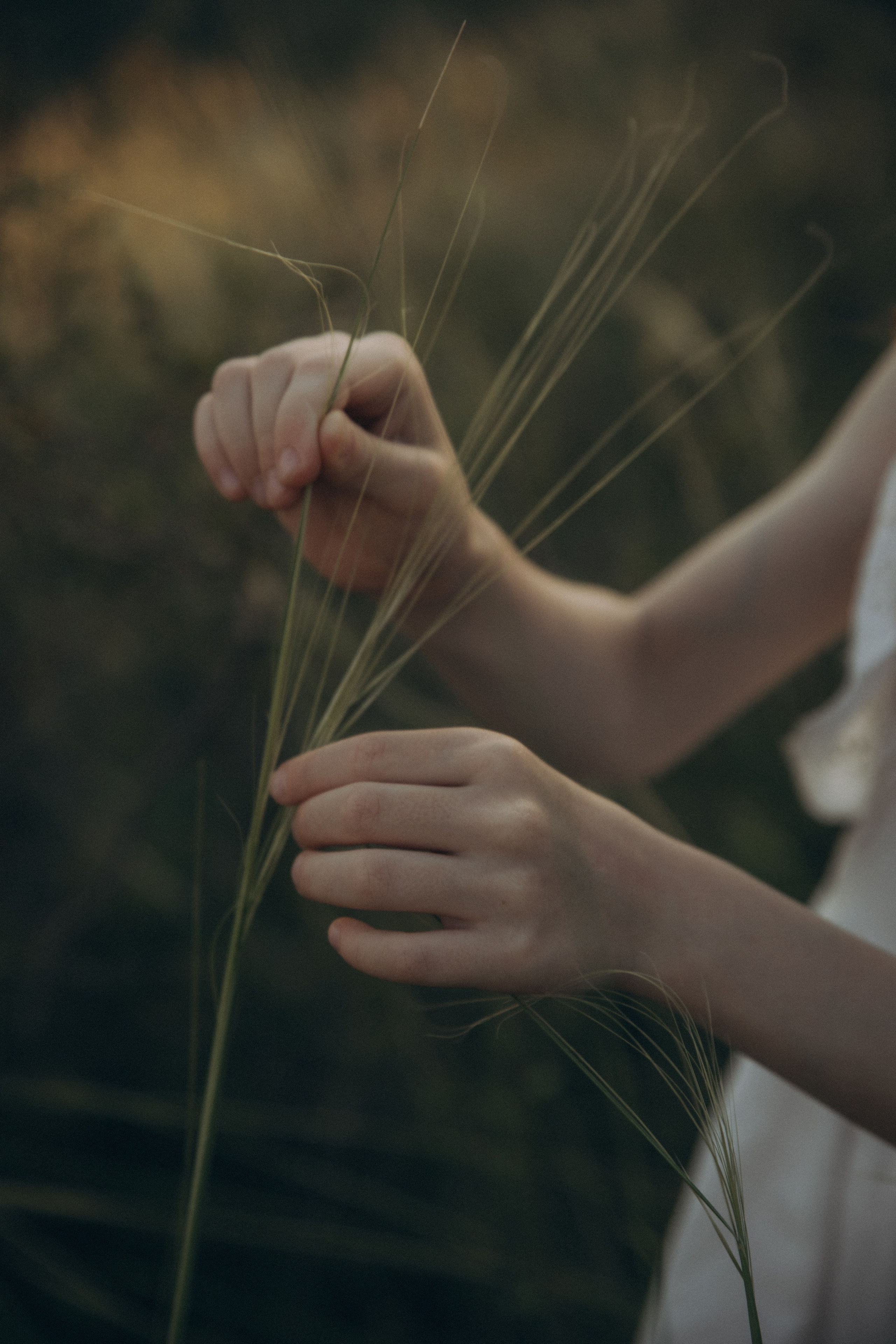 Семейный альбом (в степи). Фотограф в Оренбурге Сулеева Ралина
