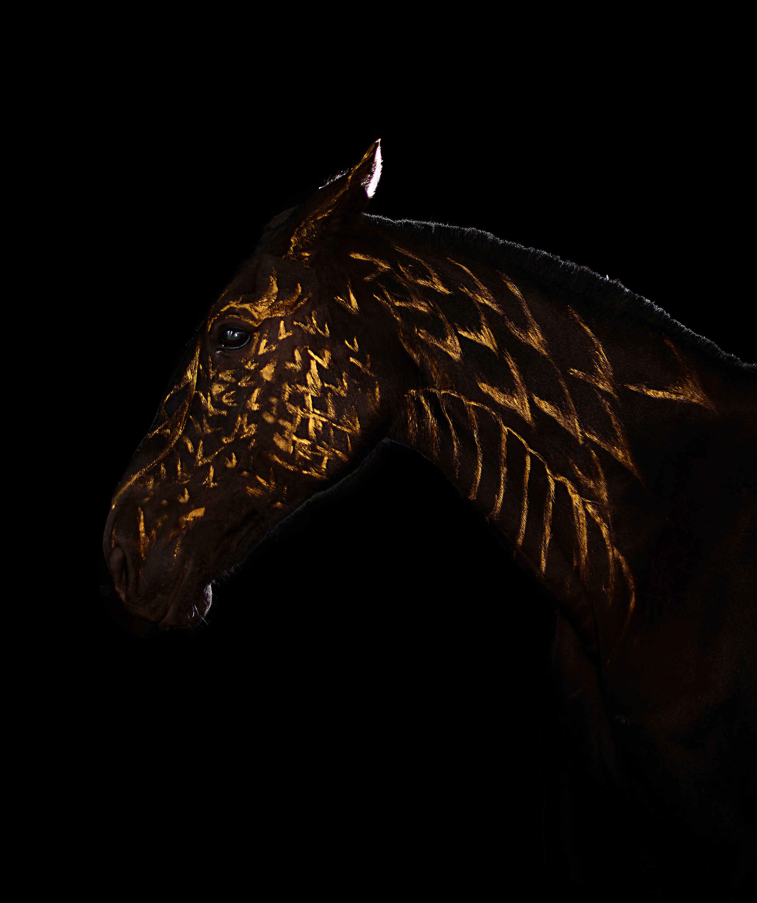 Княжа. Фотограф в Севастополе