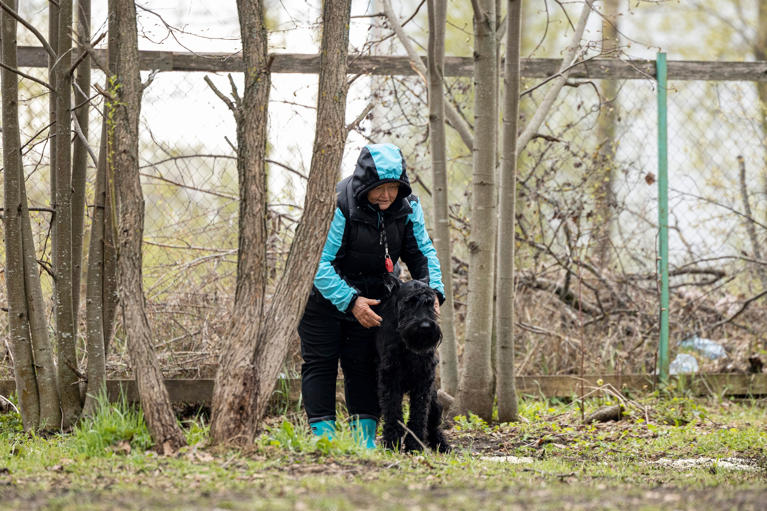Квалификационные состязания по мондьорингу г. Вологда 11.05.24. Фотограф-анималист Анна Маринич