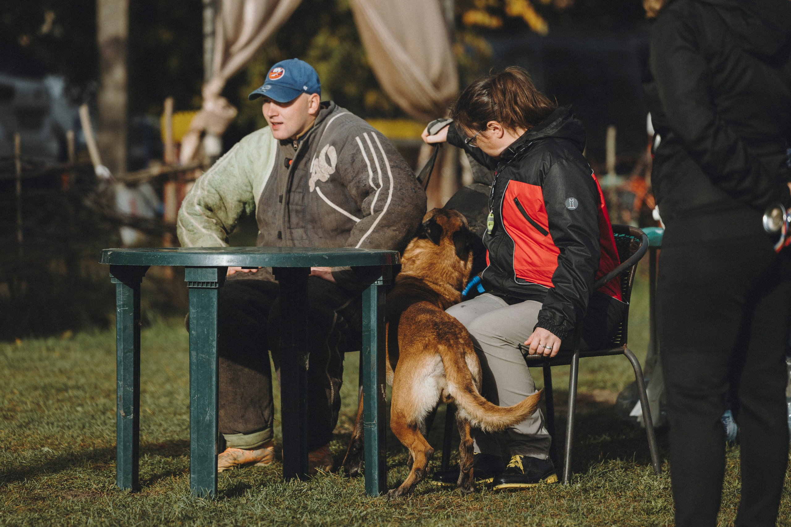 Испытания по мондьорингу г. Пушкин 29.09.2024. Фотограф-анималист Анна Маринич