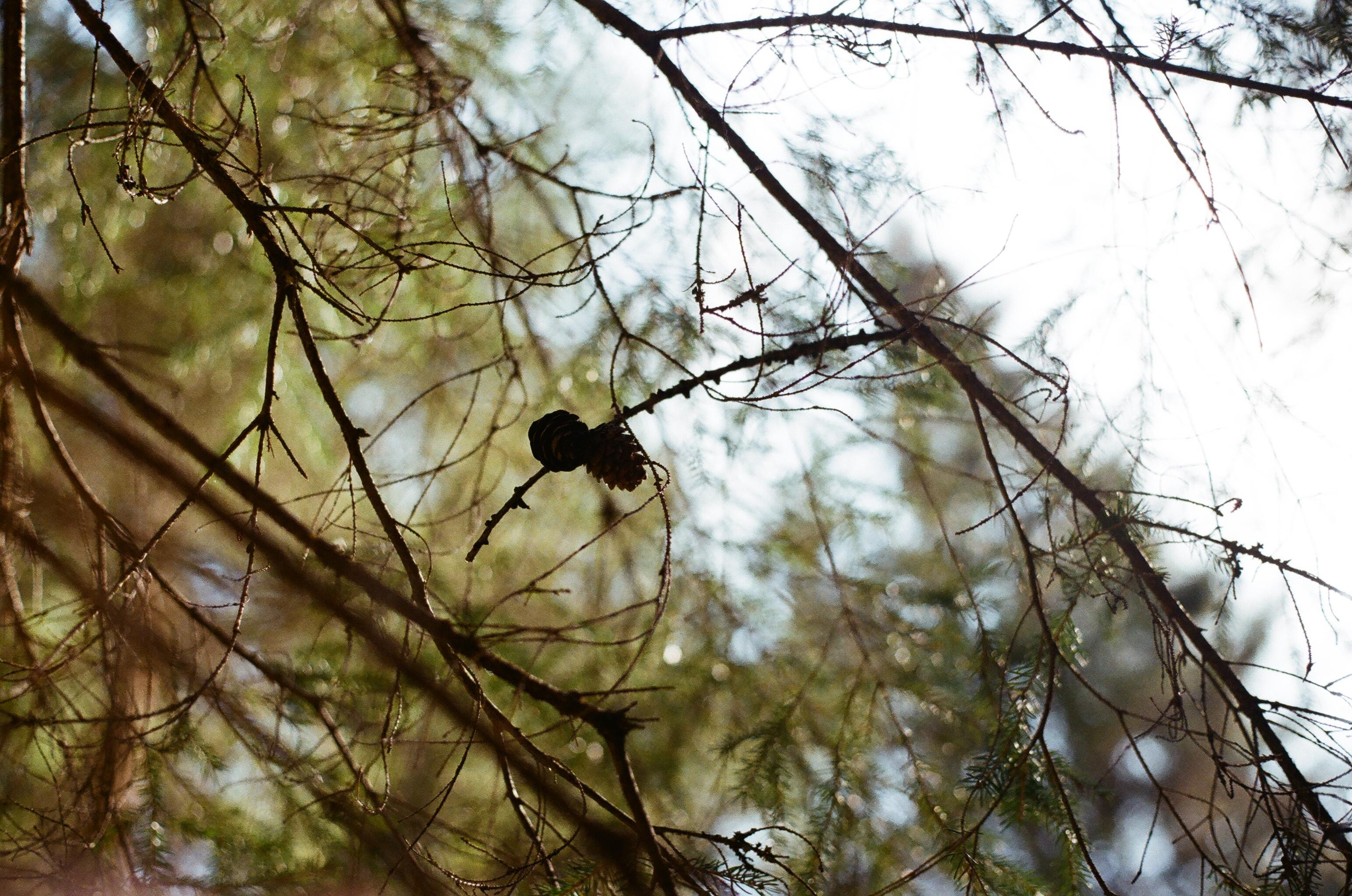 Картинки. Сандра Ковалева | ЧБ фотограф