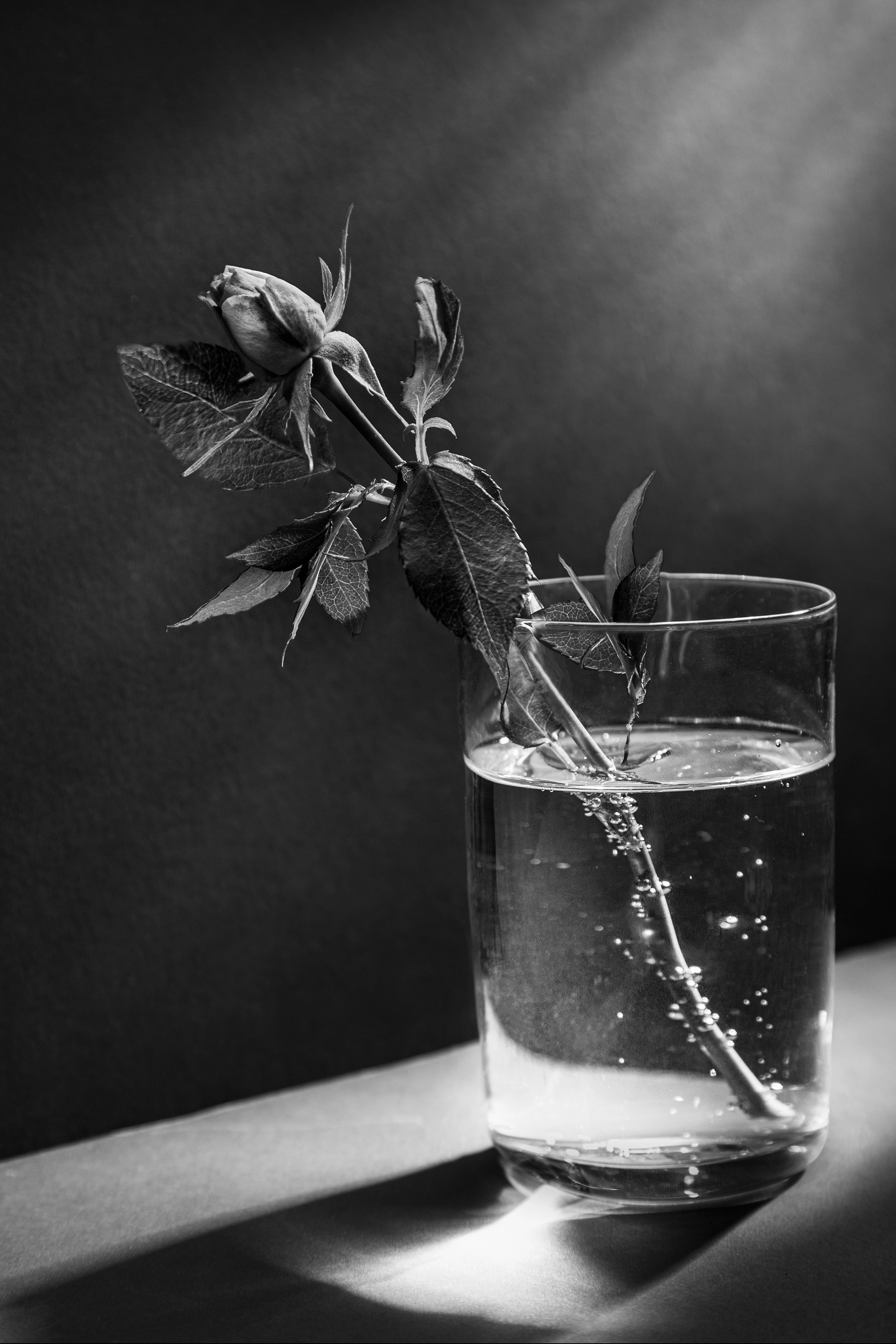 Картинки. Сандра Ковалева | ЧБ фотограф