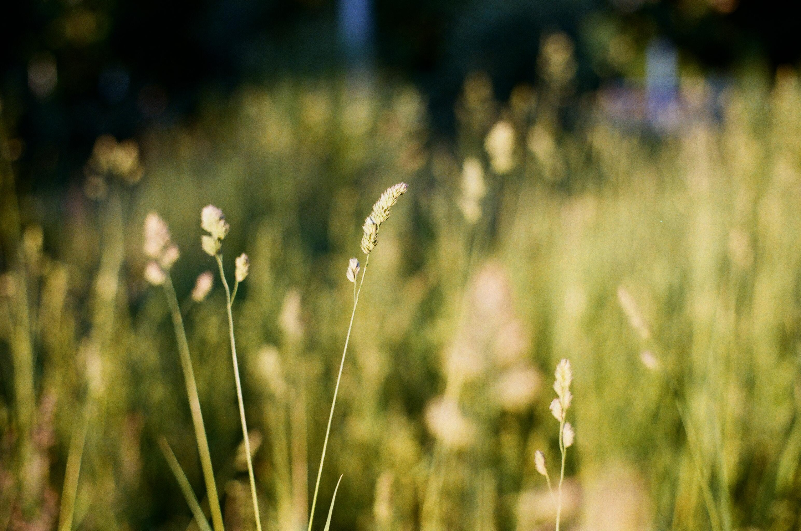 Картинки. Сандра Ковалева | ЧБ фотограф