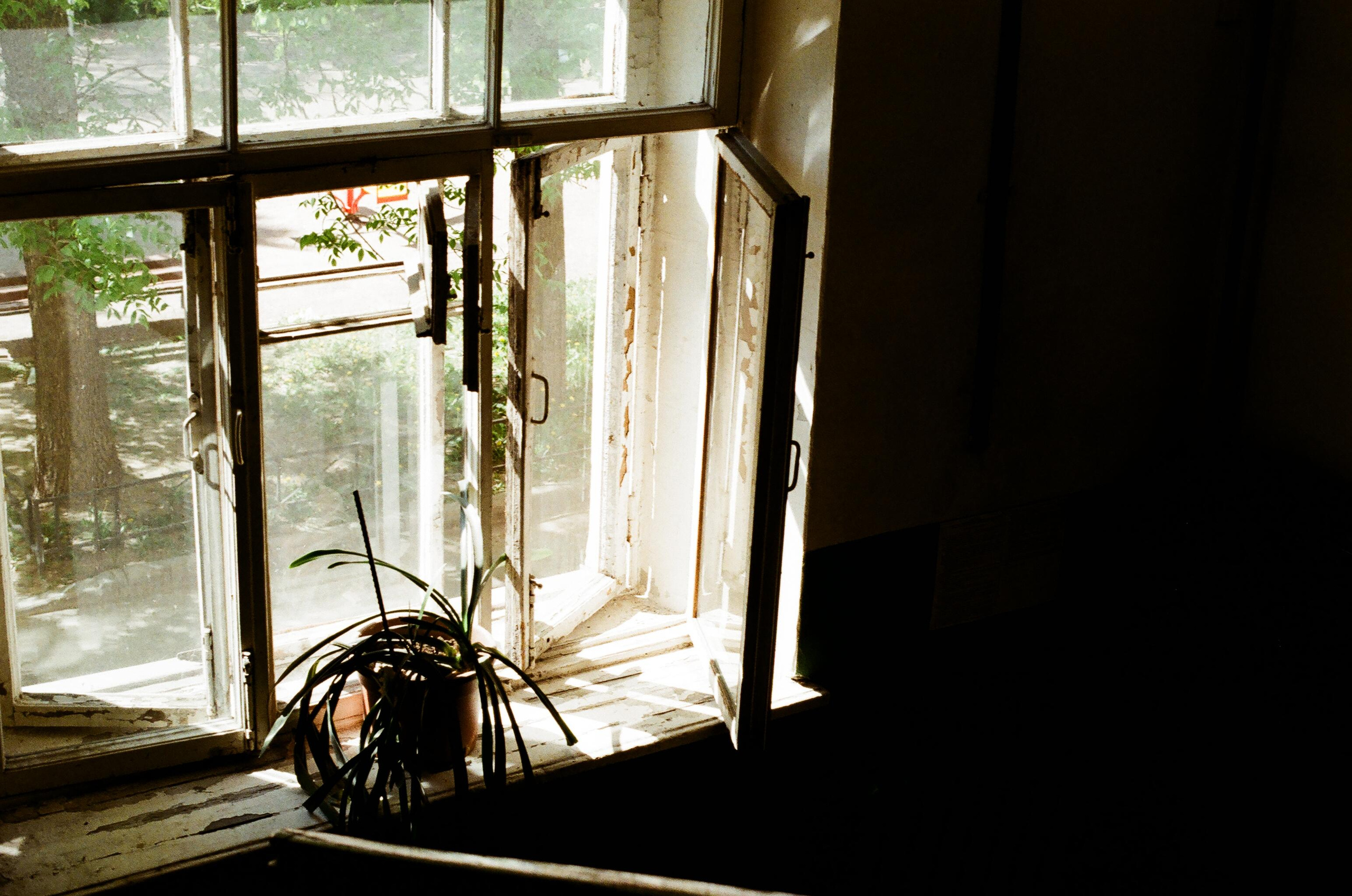 Картинки. Сандра Ковалева | ЧБ фотограф