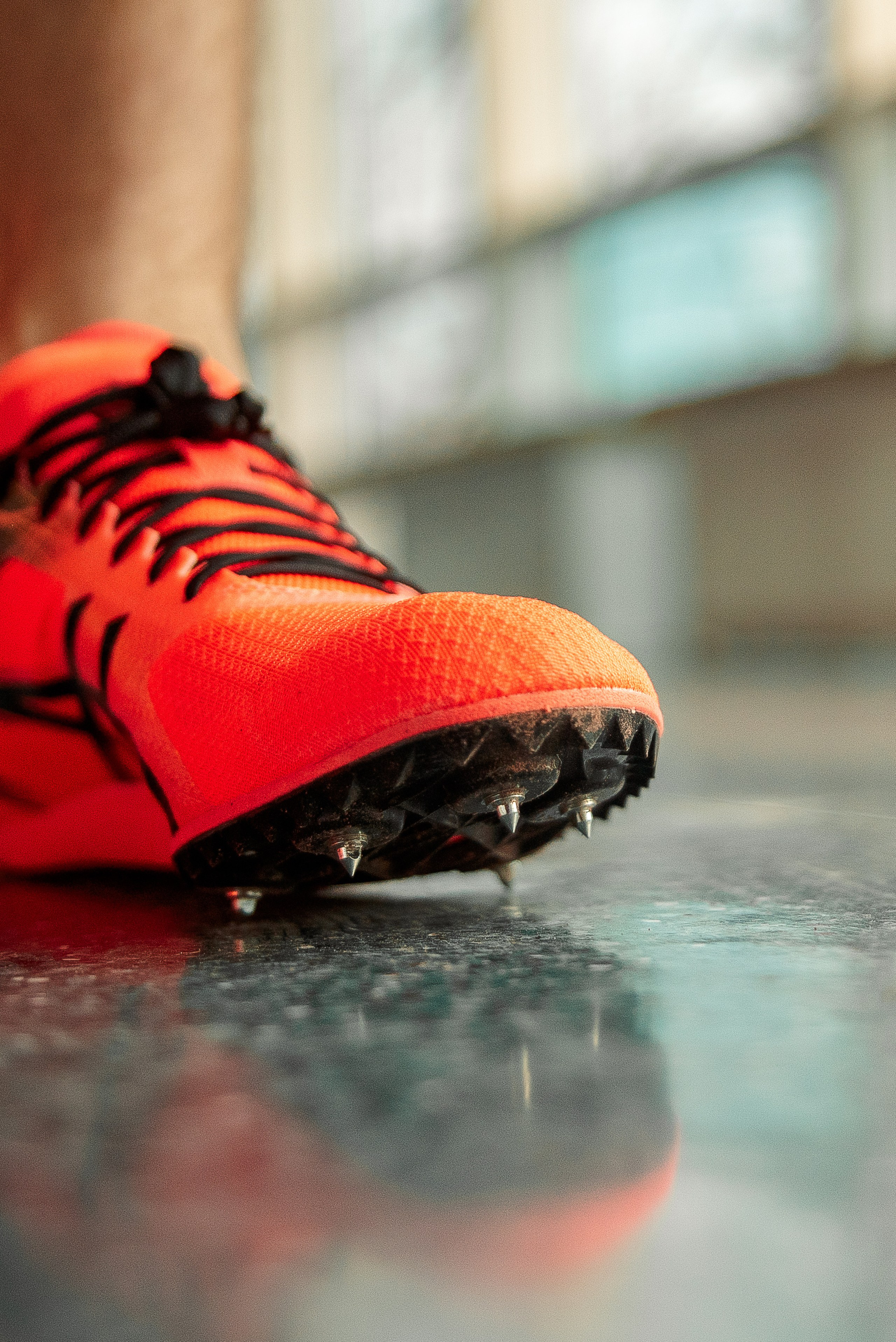 Беговая фотосессия. Фотограф Москва