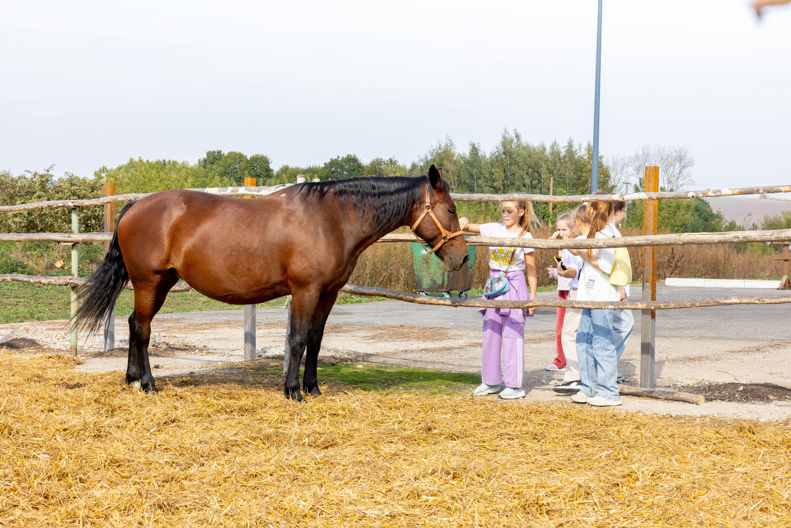 Поездка на поле Кулеково. Фотограф в Туле Крупский АнДРей. Фотостудия «КАДР71» в Туле