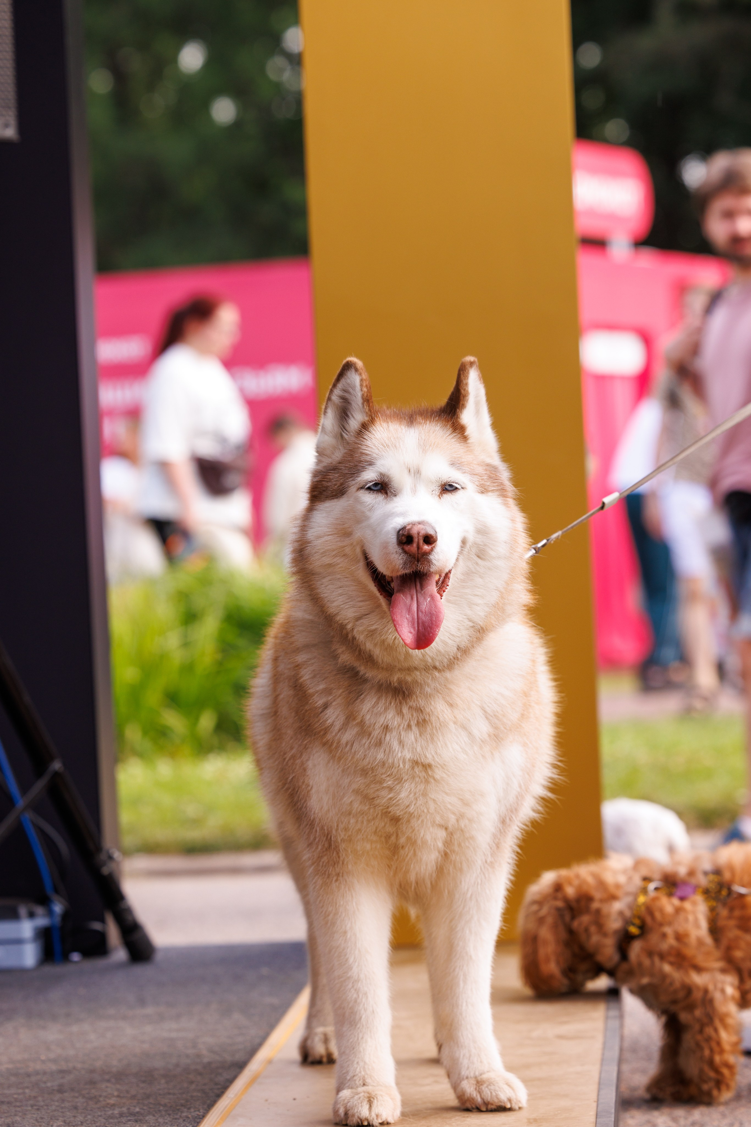 PetShopDays2026. Фотограф Александр Заломаев