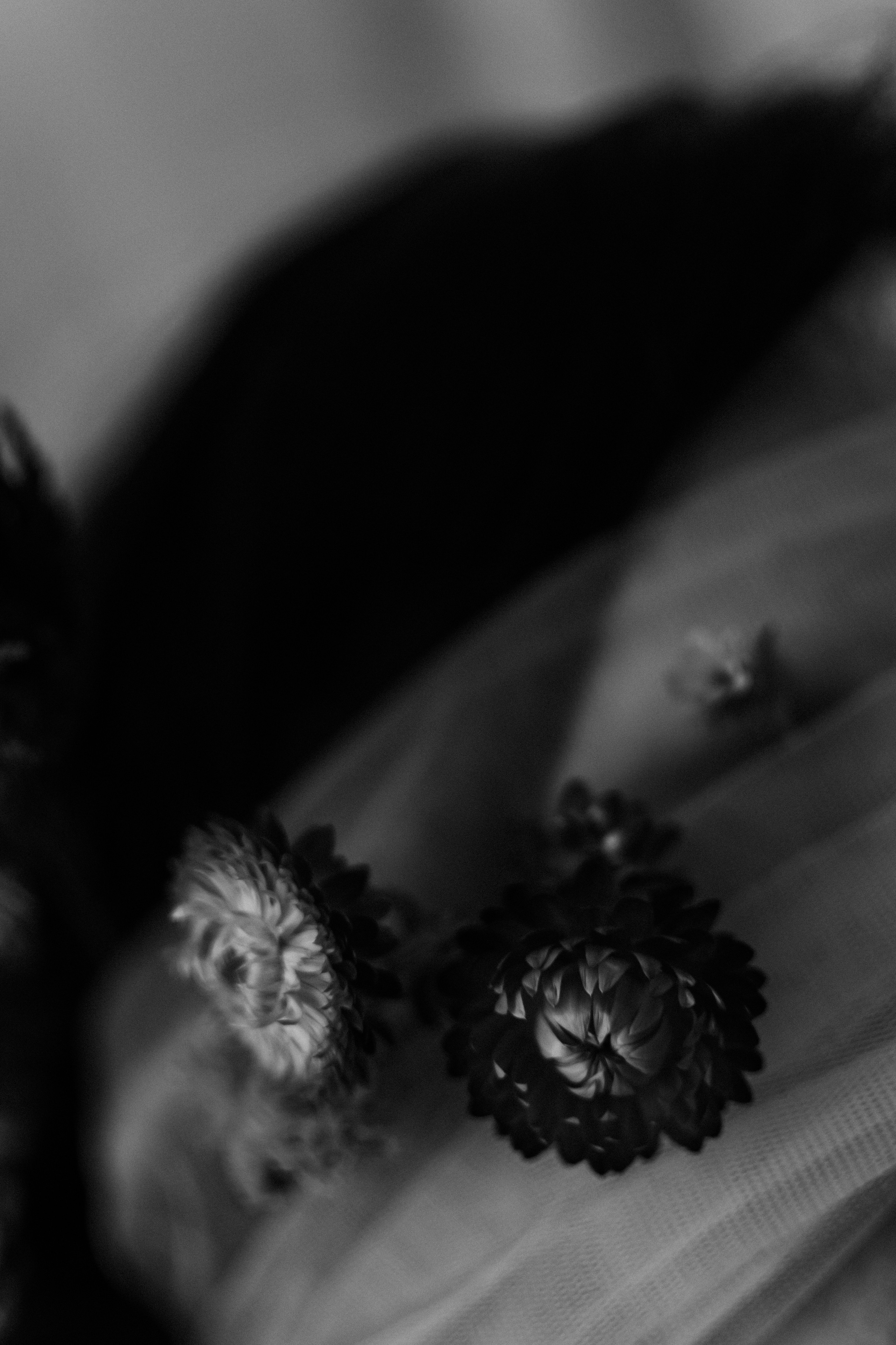 Наташа весна. Lifestyle фотограф в Жодино Ника Хруцкая